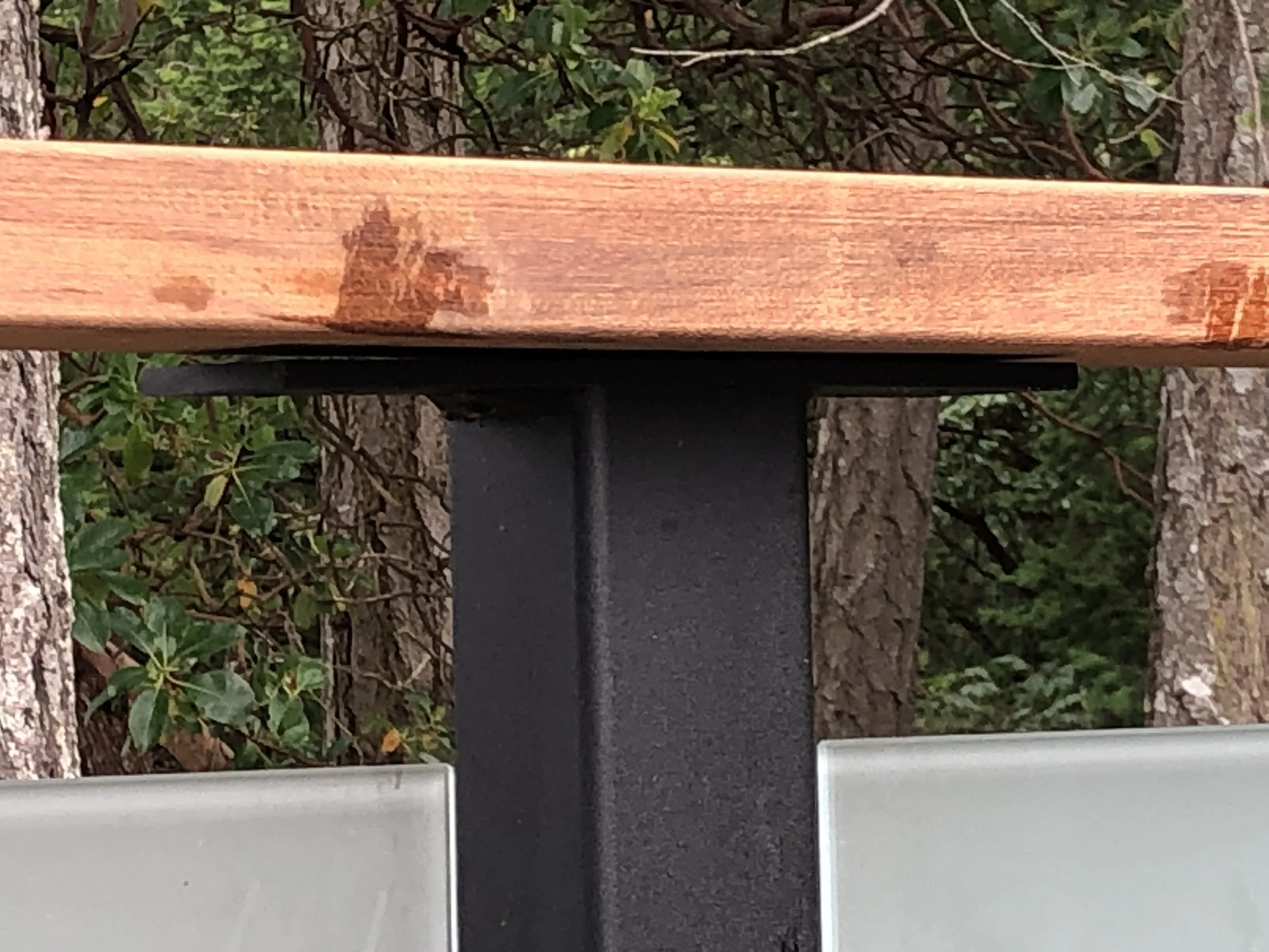 Close-up of a wooden bench with a black metal support, surrounded by tree trunks and green foliage.