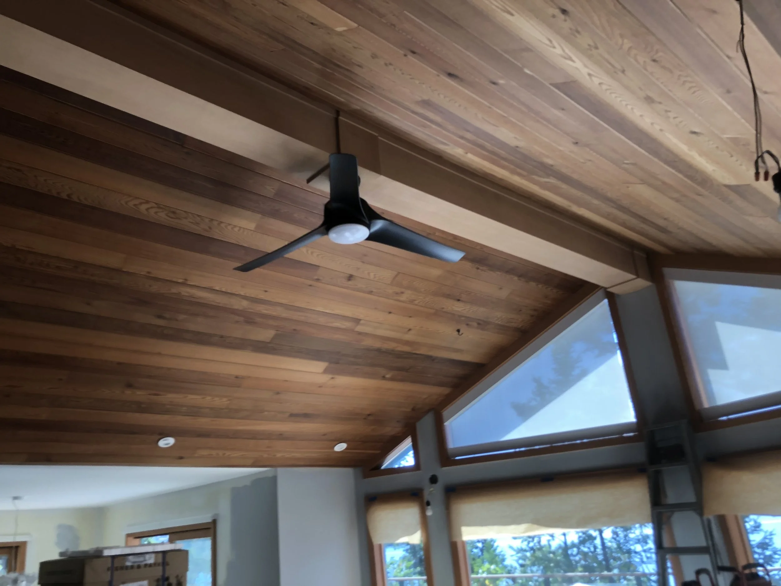 Interior of a room with a wooden ceiling, large windows, and a ceiling fan.