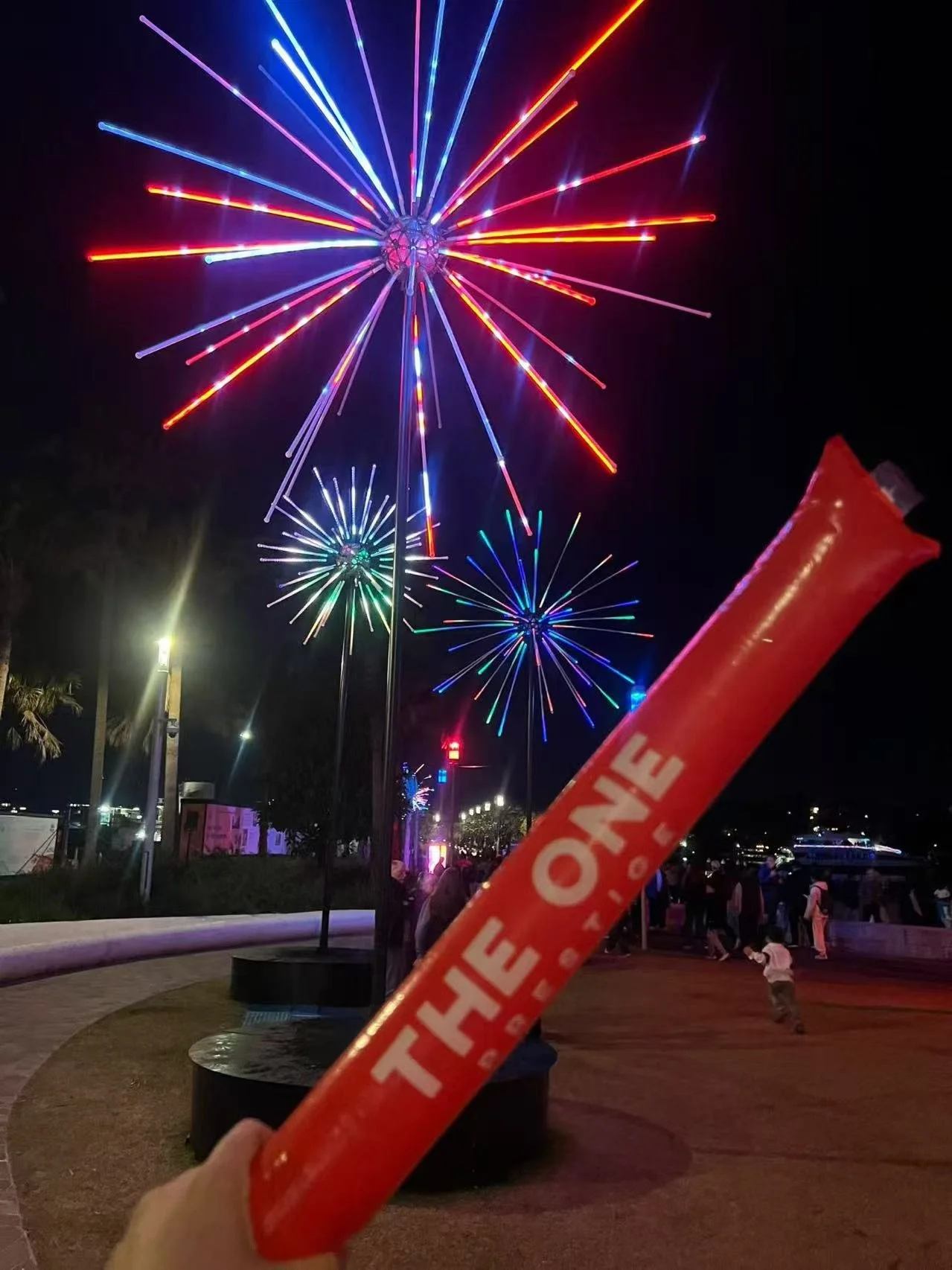 Vivid Sydney Celebration