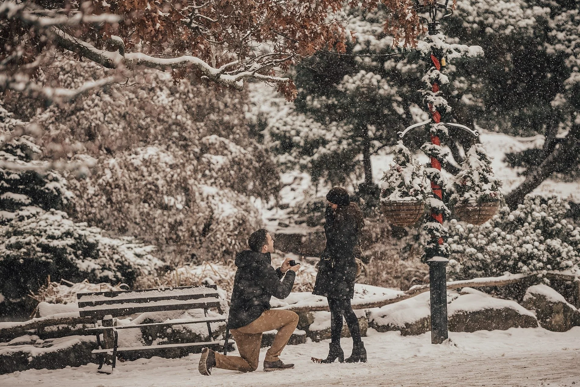 Dylan & Jaclyn / Proposal in Peddlers Village