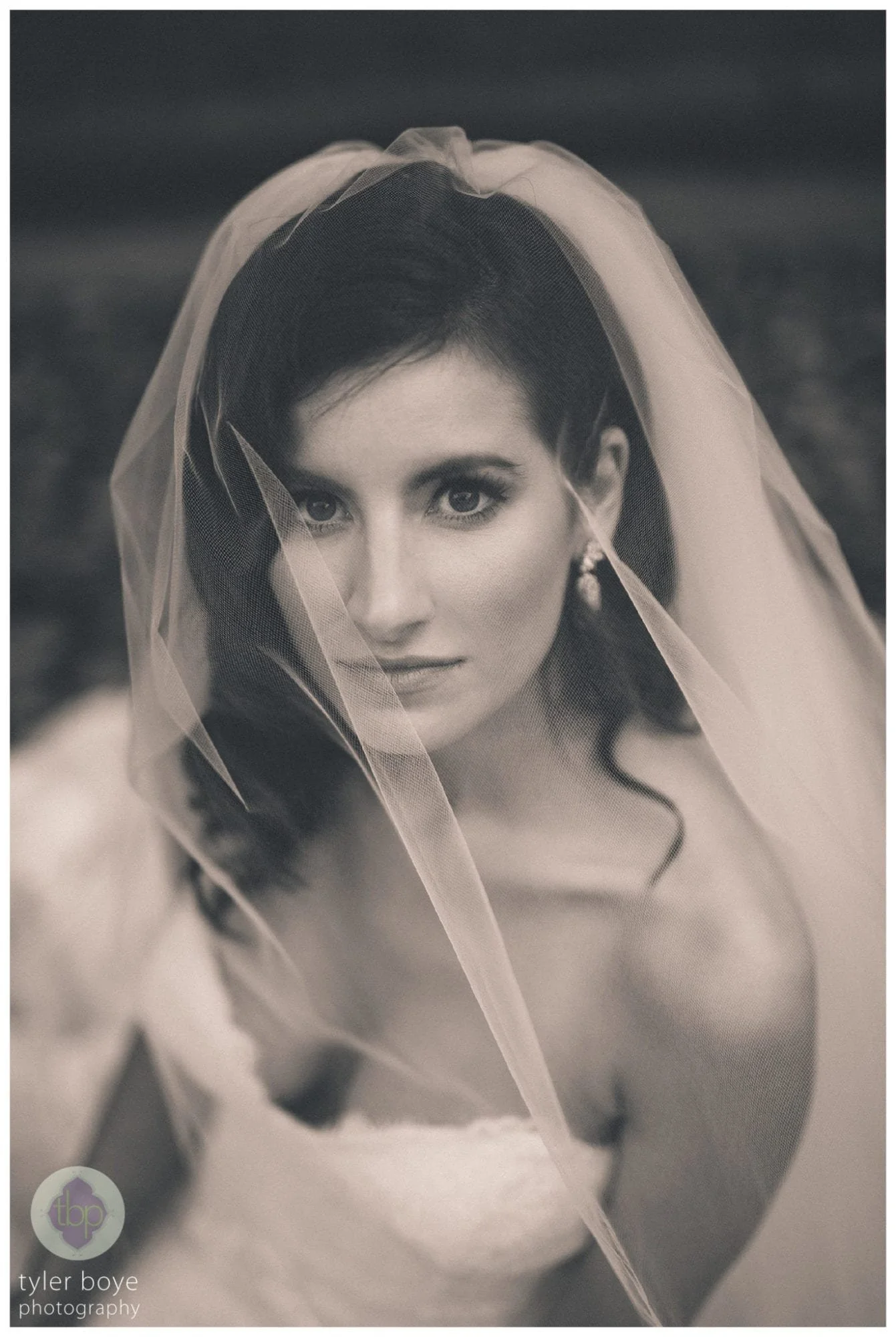 CrystalTeaRoom.GinaRyan.Wedding.tylerboye-54.jpg