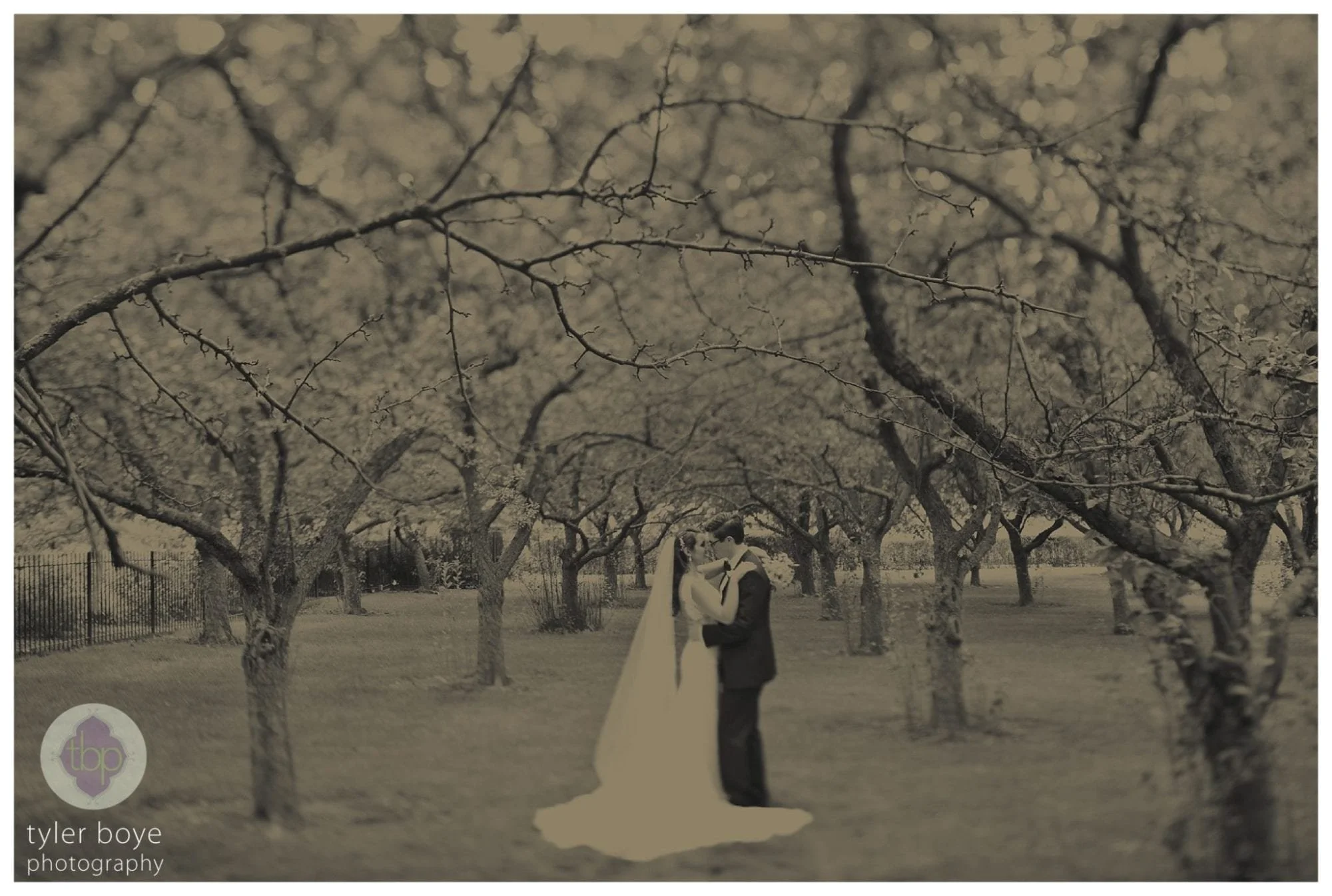 Rita.ElizabethLiam.Wedding.tylerboye-25.jpg