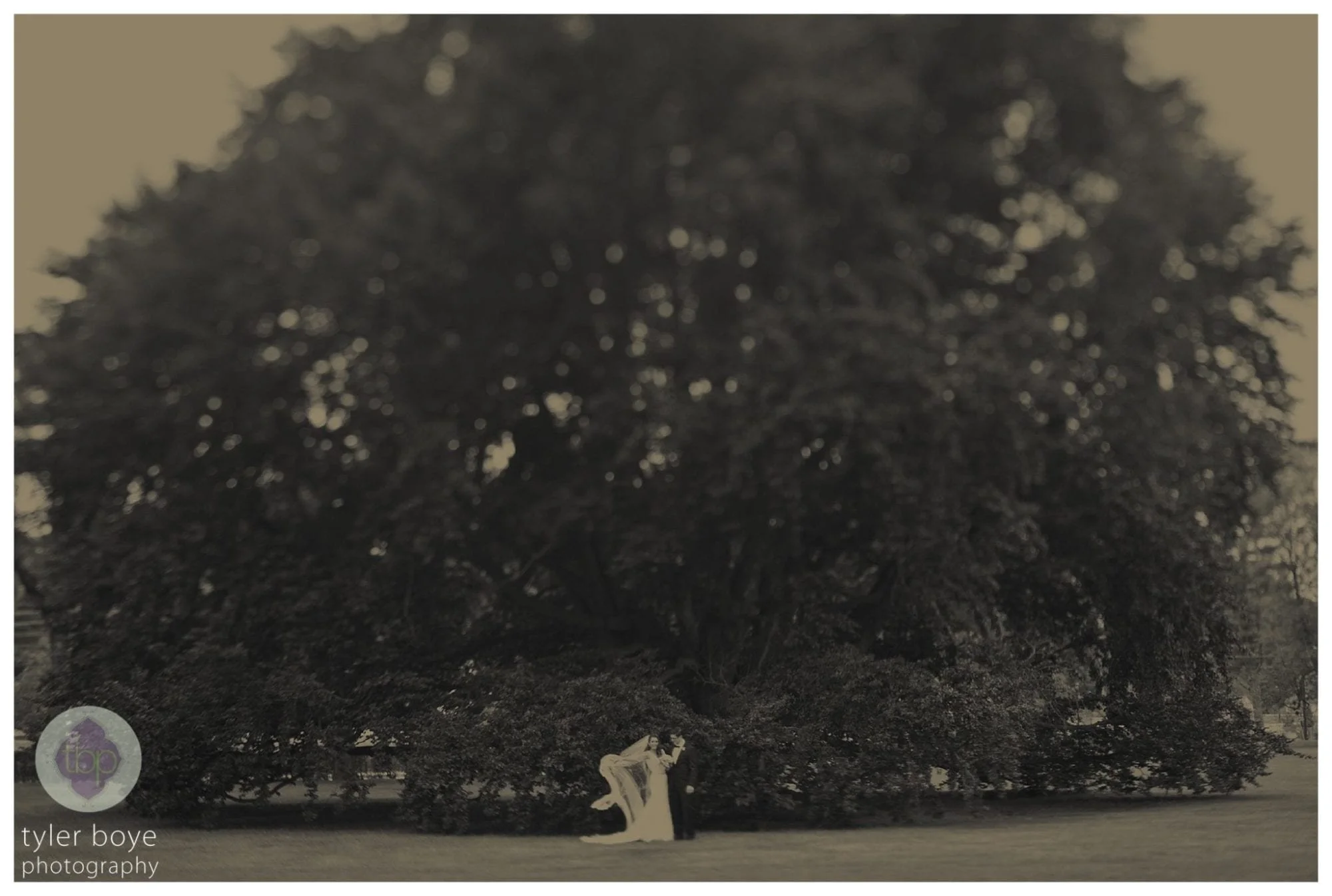 Rita.ElizabethLiam.Wedding.tylerboye-38.jpg