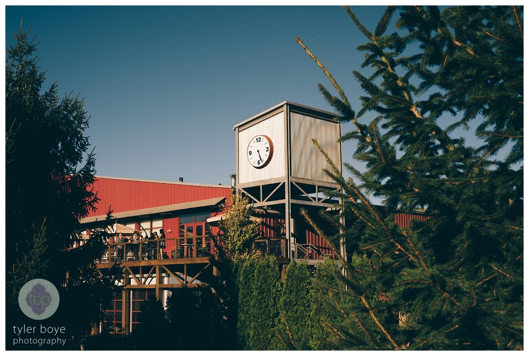 BearCreekMountainResort.MegKeith.Wedding.tylerboye-26.jpg