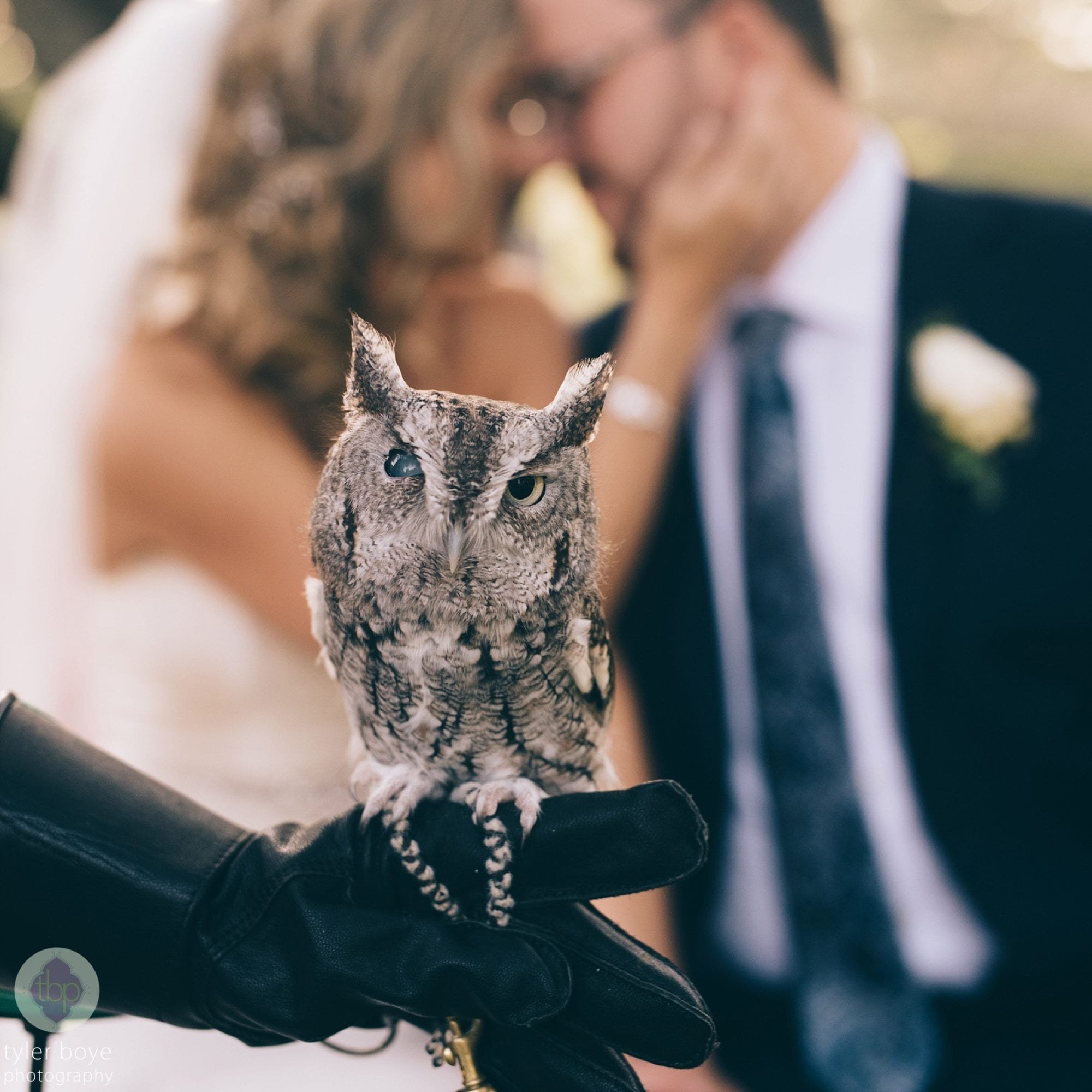 AudobonCenterMillGrove.CassieAlex.Wedding.tylerboye-24.jpg