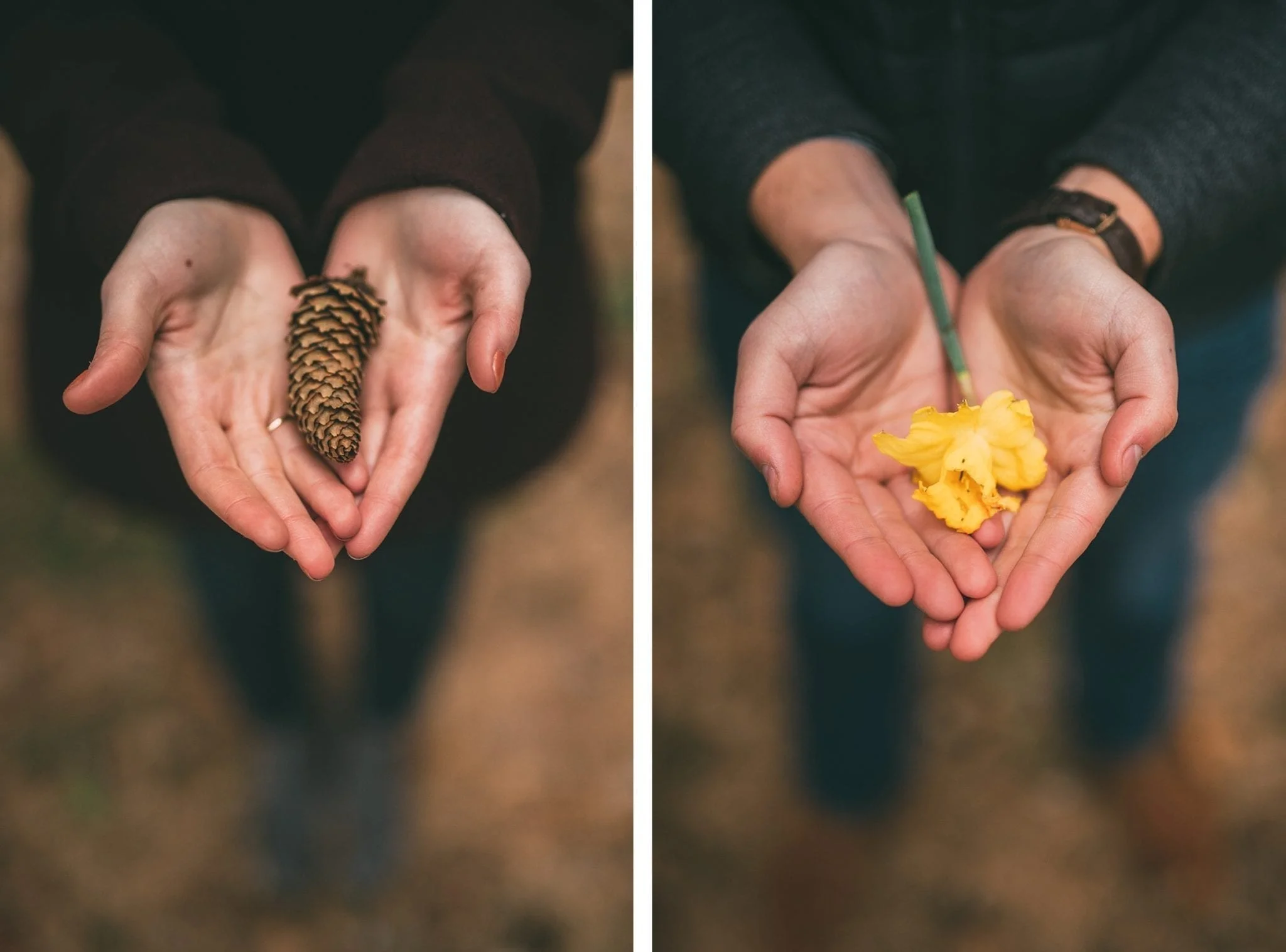 BlueBell.SamThom.Engagement.tylerboye-03.jpg