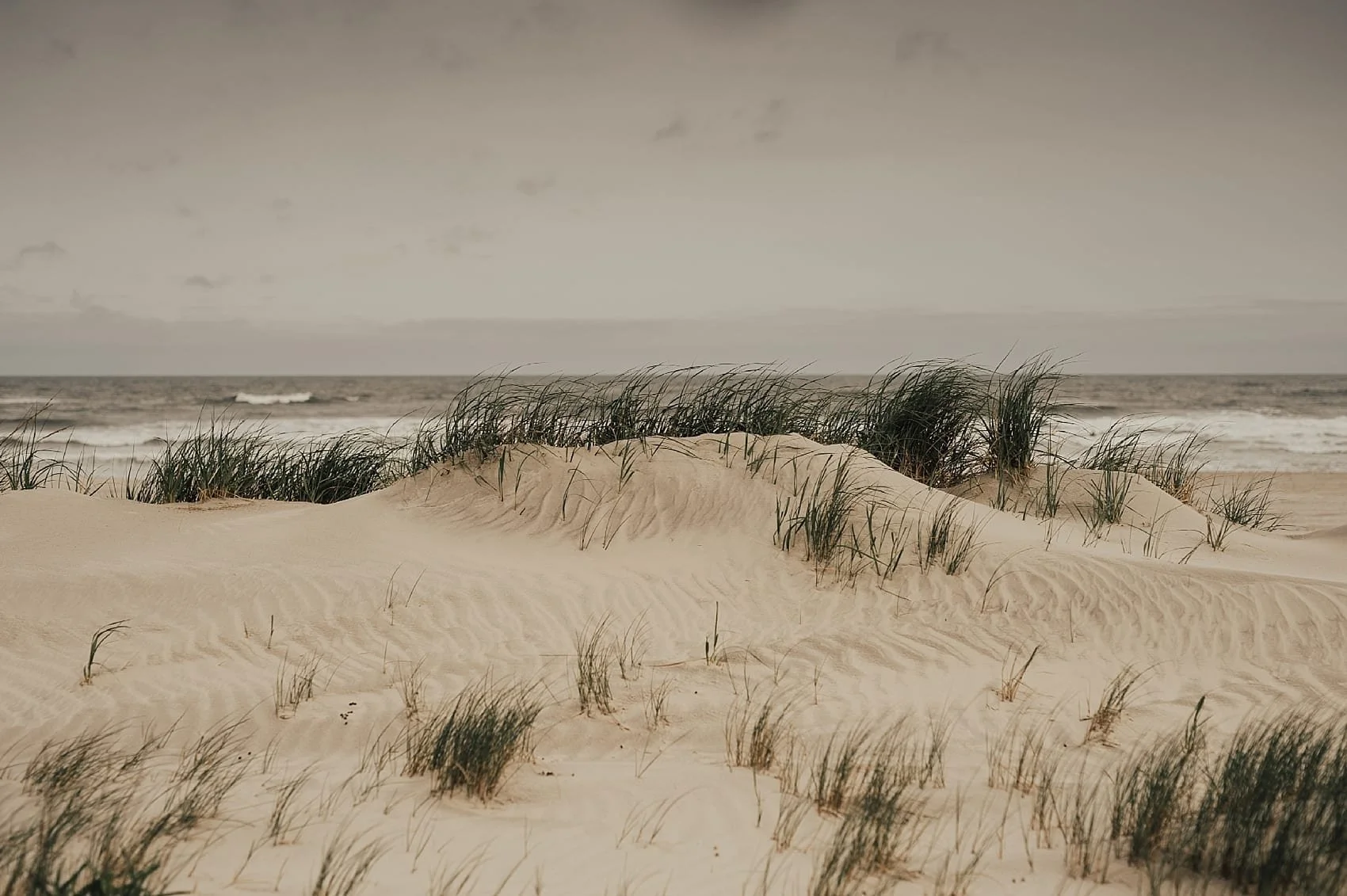 Wildwood.CaitlynIan.Engagement.tylerboye-0001.jpg