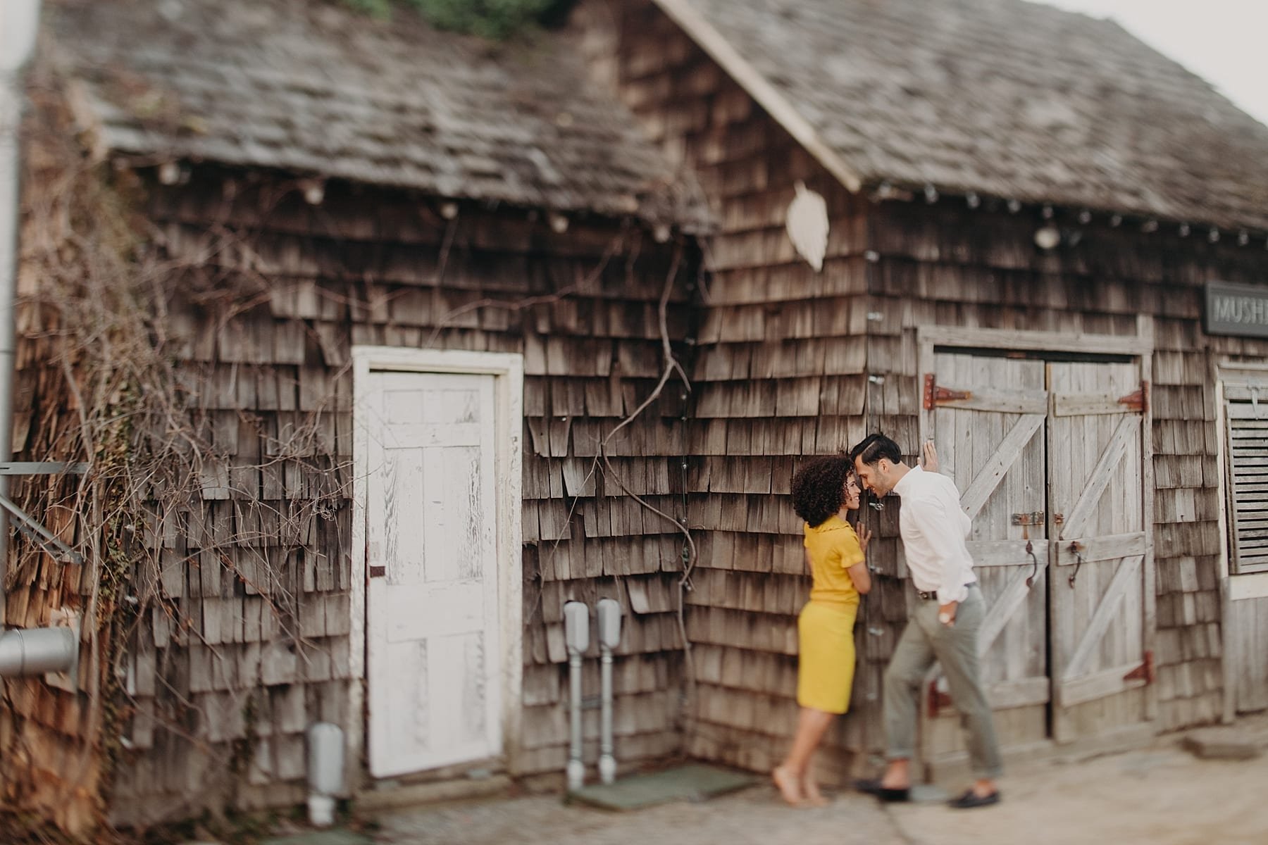 JessicaJared.engagement.Longwoodgardens.terrain.tylerboye.0082-0.jpg