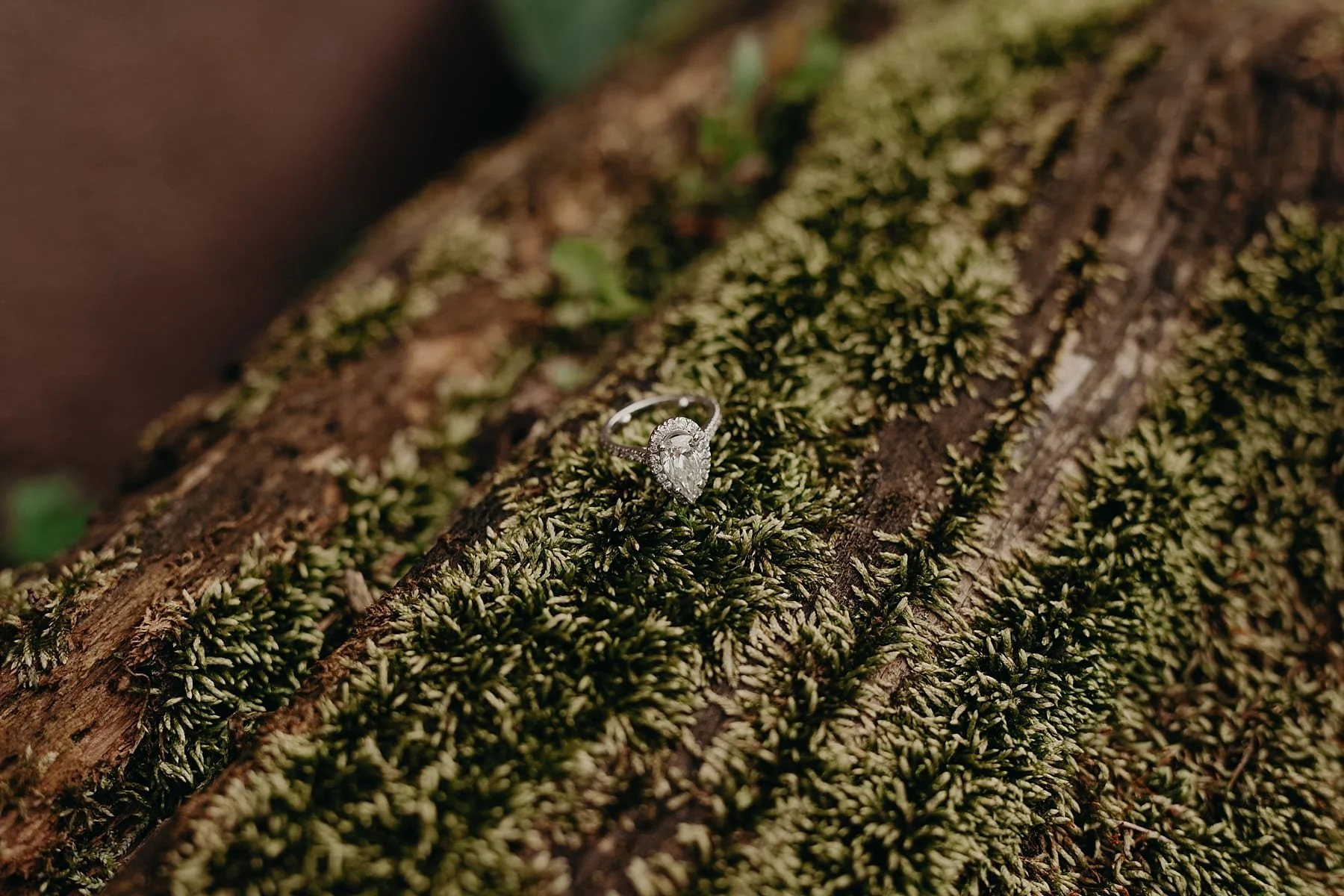 philadelphia.northernliberties.engagement.toridave.0014.jpg