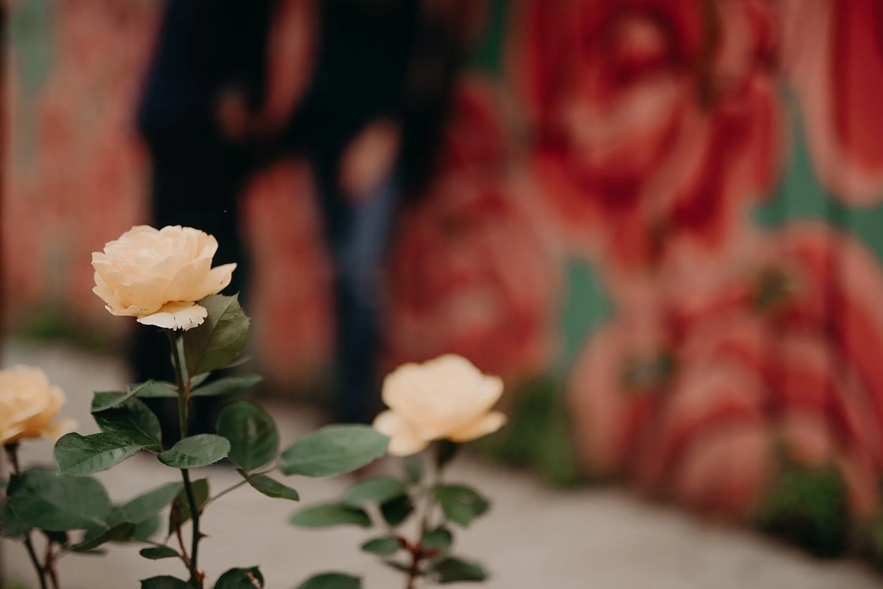 philadelphia.northernliberties.engagement.toridave.0027.jpg