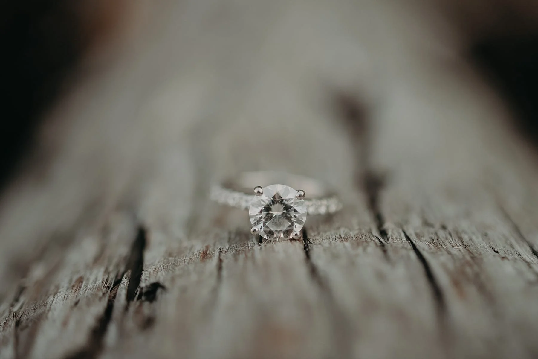 Avalon.Engagement.photographer.tylerboye.0018.jpg