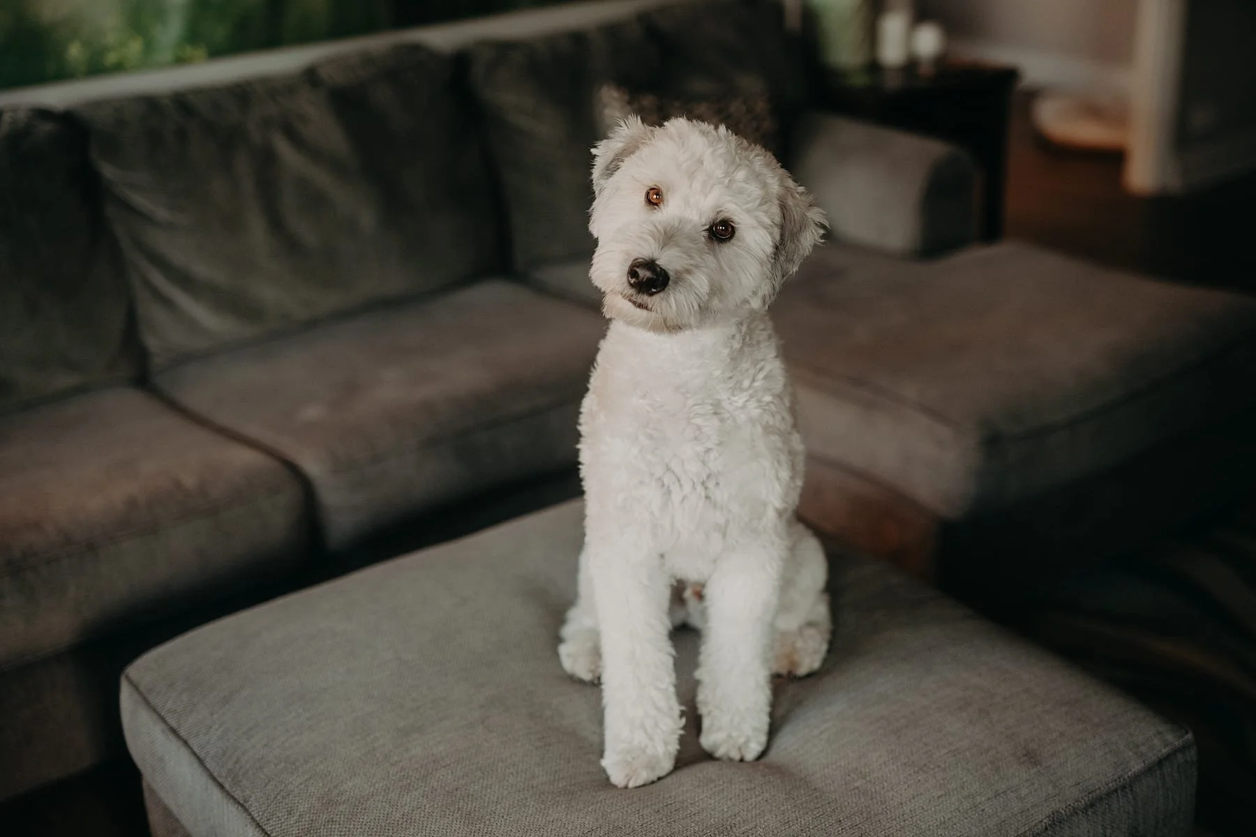 Philadelphia.Home_.Photoshoot.gretchenshane.TBP_.001.jpg