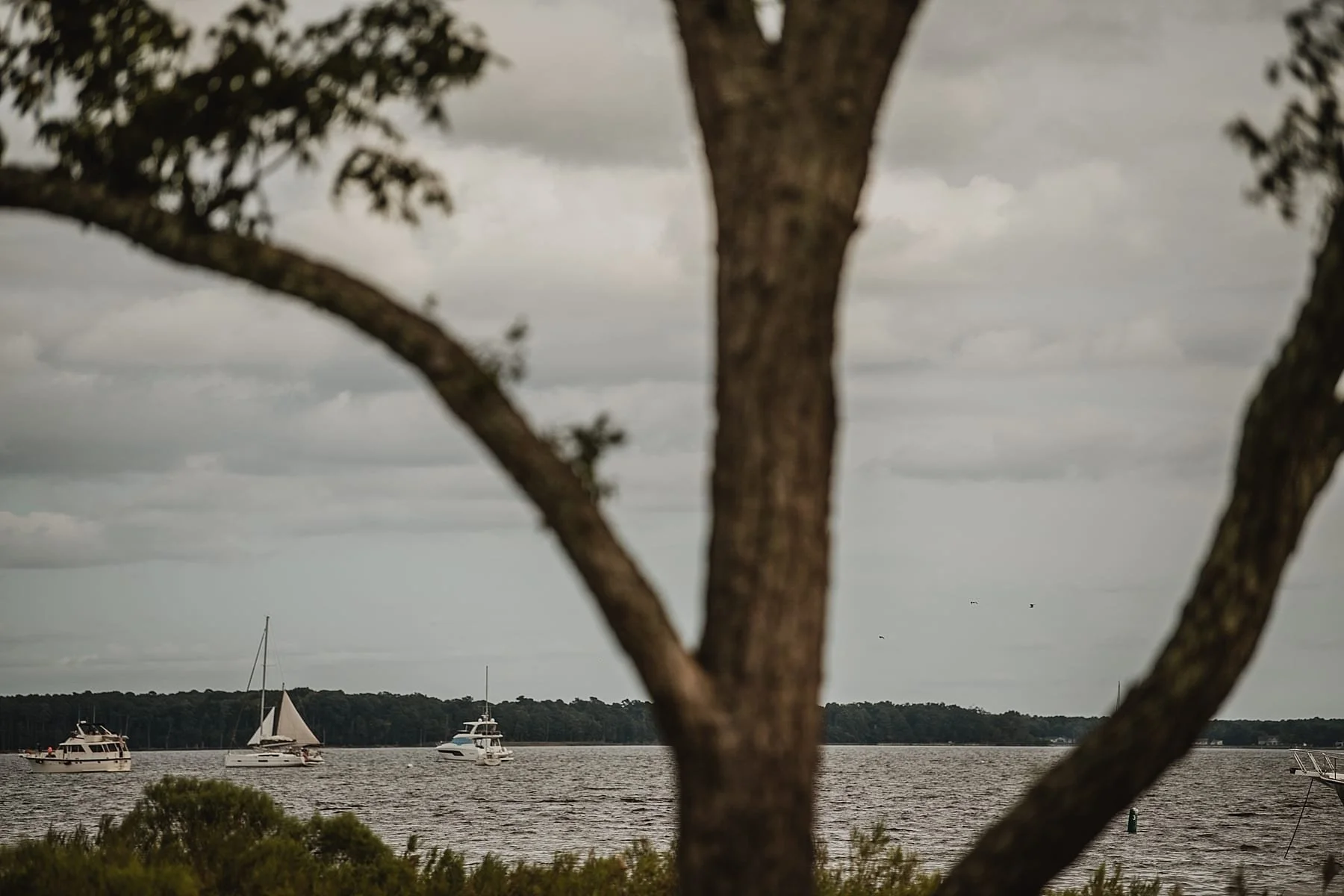 Innatperrycabin.wedding.photographer.angelajohn.038.jpg