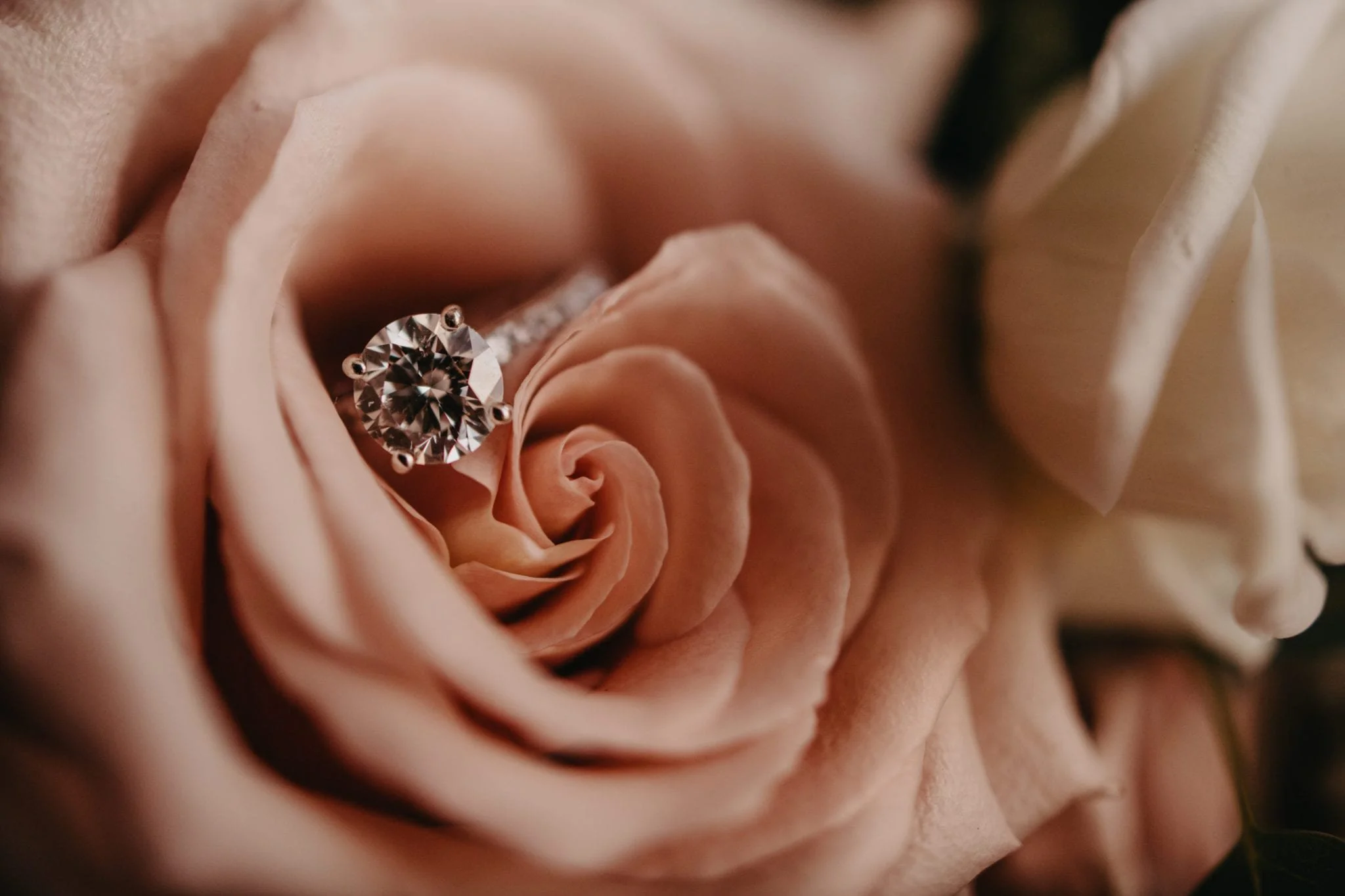 Waterworks.Cescaphe.Wedding.Blog-EmilyChristian-0004.jpg