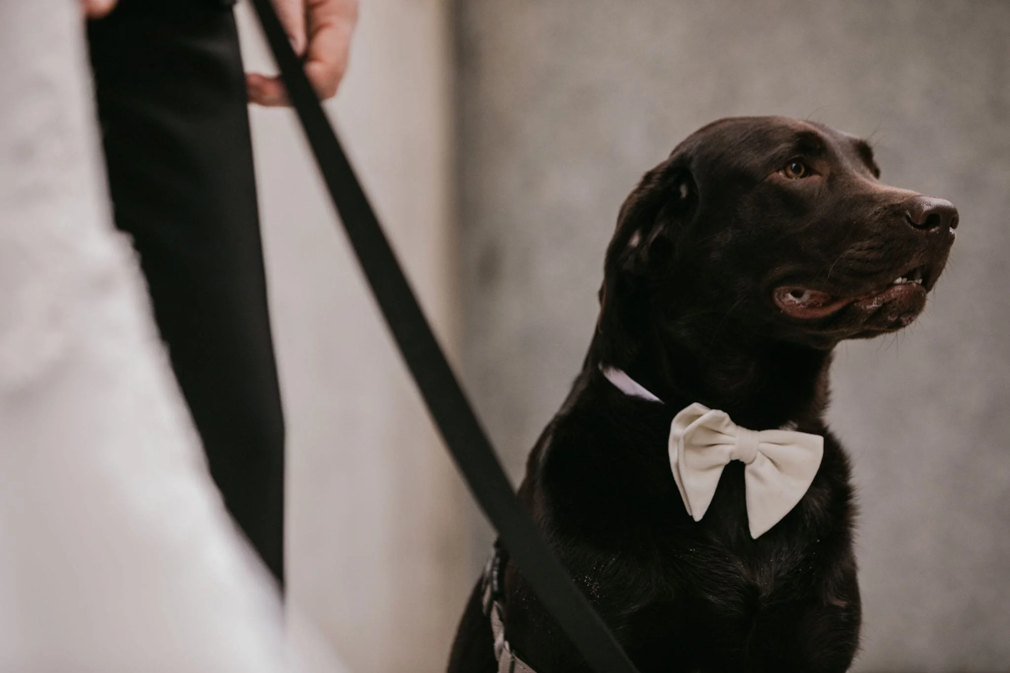 TheRitz_Wedding_NYE_Tylerboye-0040.jpg