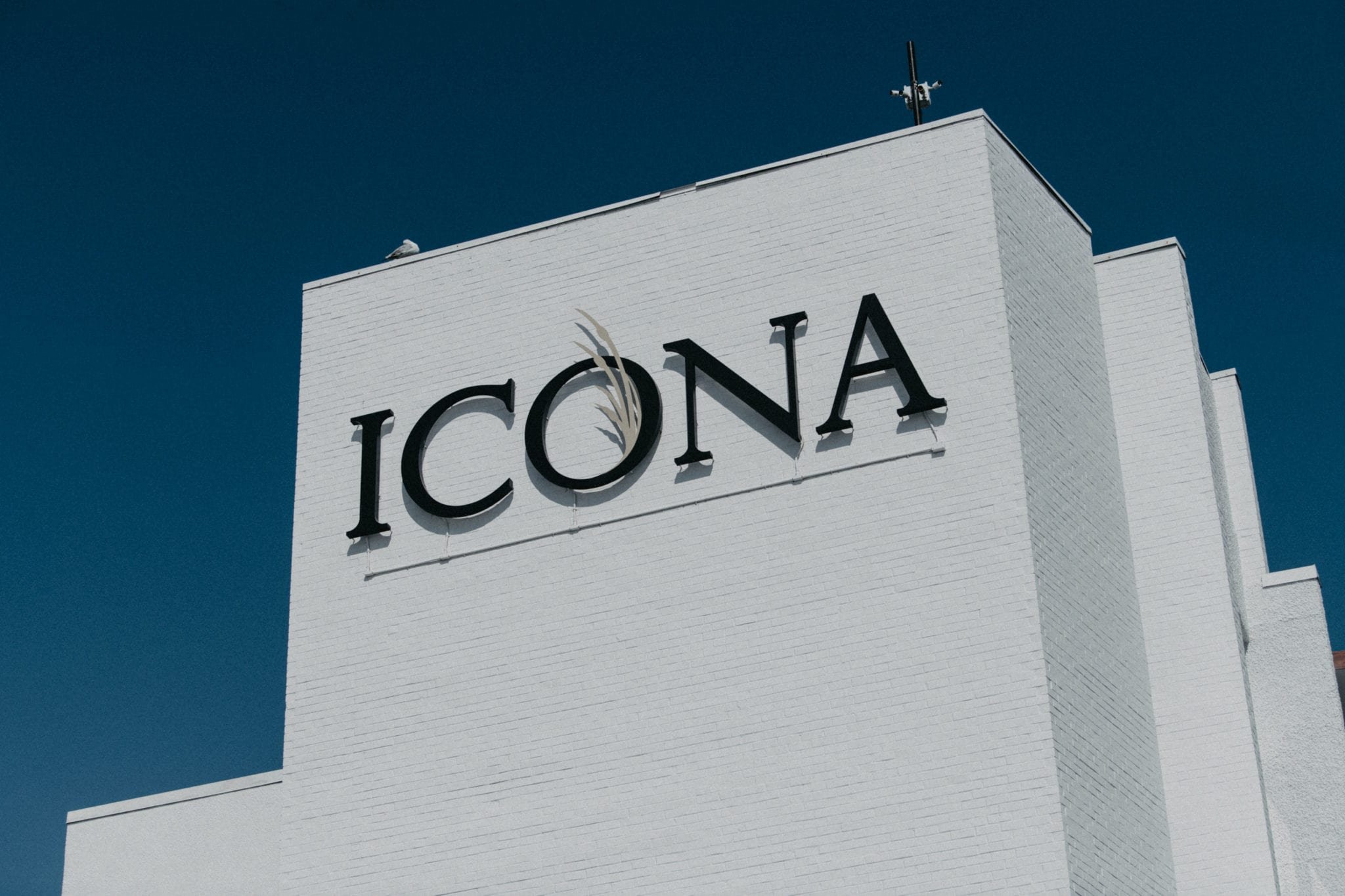 Icona.JillJoe.Tylerboye.BLOG0001.jpg