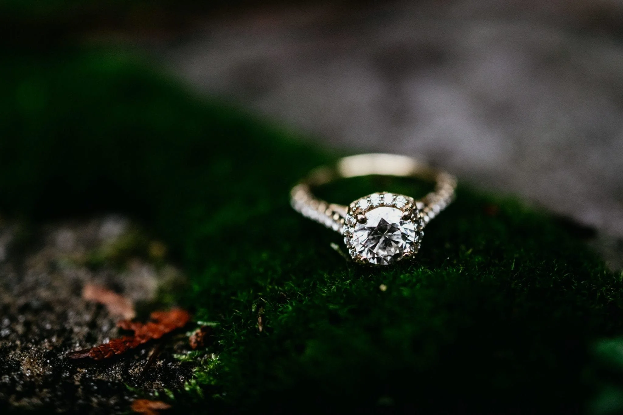 StotesburyMansion.wedding.regal_.mansion.AmyNicholas.TylerBoye-020-scaled.jpg