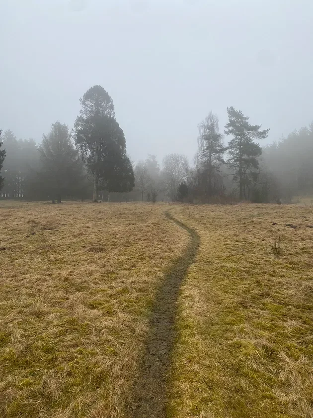 Vi går alle på en sti, der ikke er betrådt før