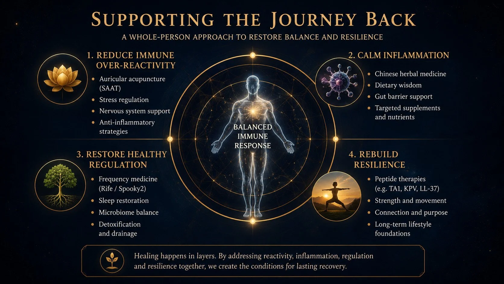 Diagram of an integrative, whole-person approach to recovering from tick-borne illness, across four areas: reducing immune reactivity, calming inflammation, restoring regulation, and rebuilding resilience.