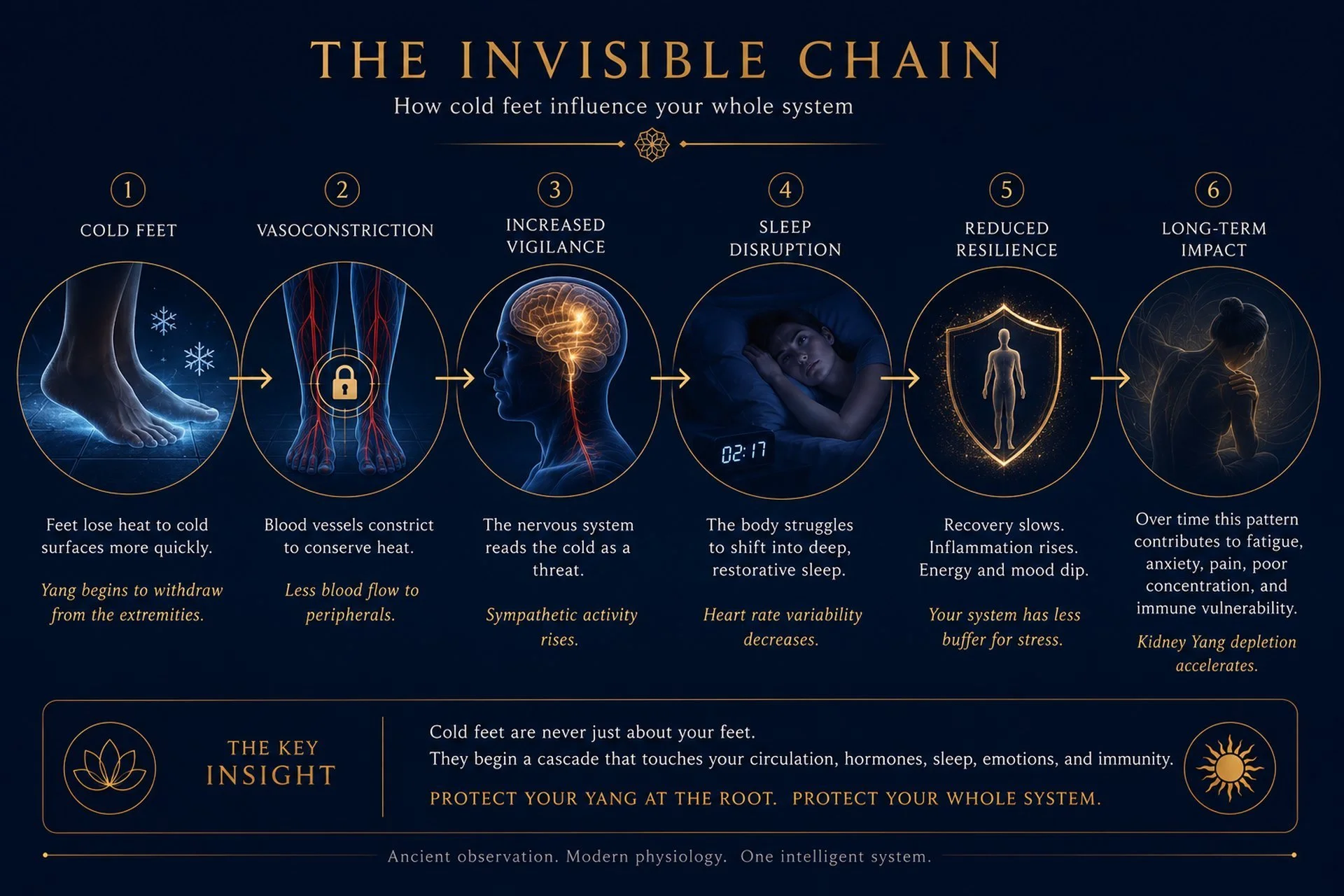 Infographic titled The Invisible Chain: six linked steps from cold feet through vasoconstriction, increased vigilance and sleep disruption to reduced resilience and long-term impact, with a key insight on protecting Yang at the root.