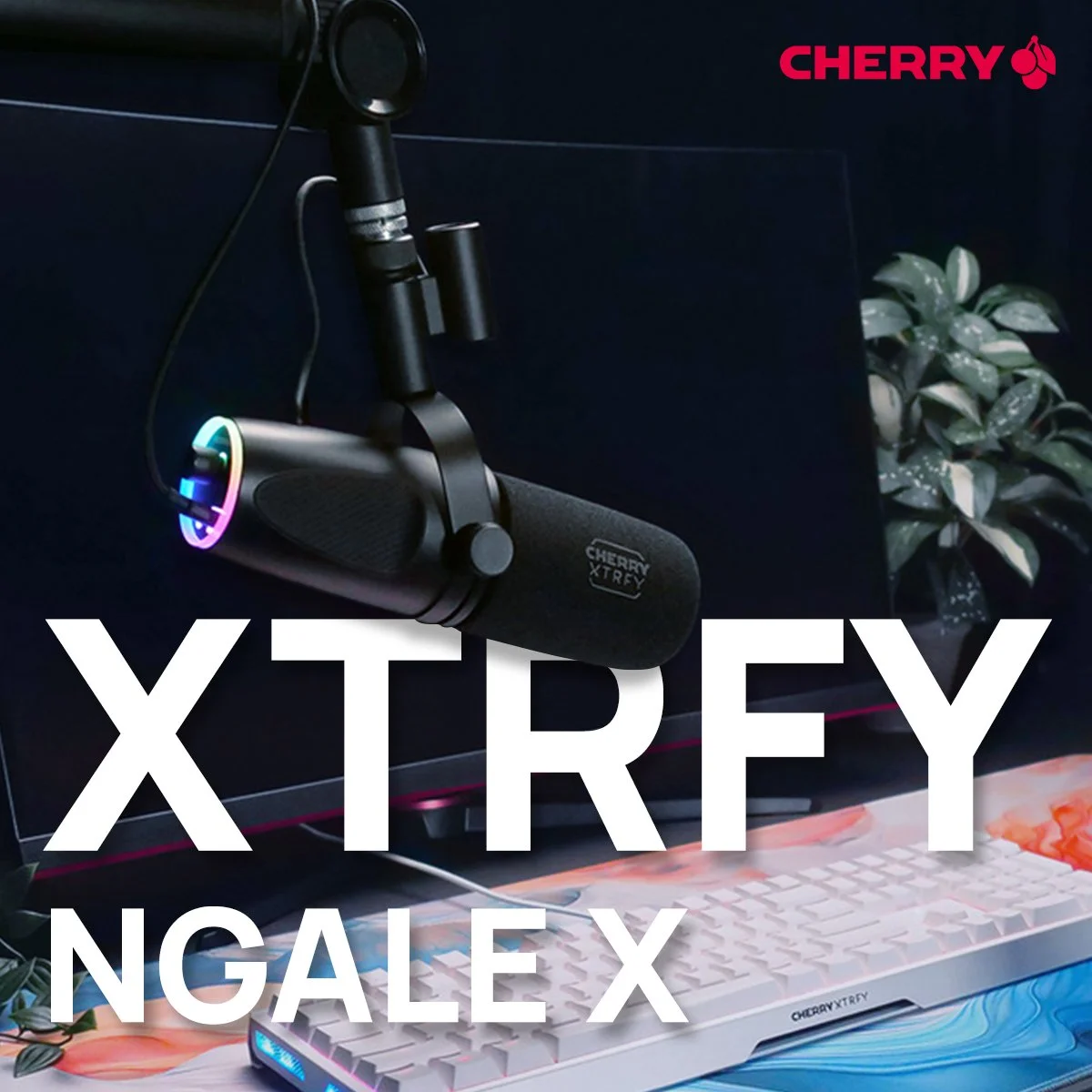 05-09-24_Cherry_XTRFY NGALE X_1200x1200px.jpg