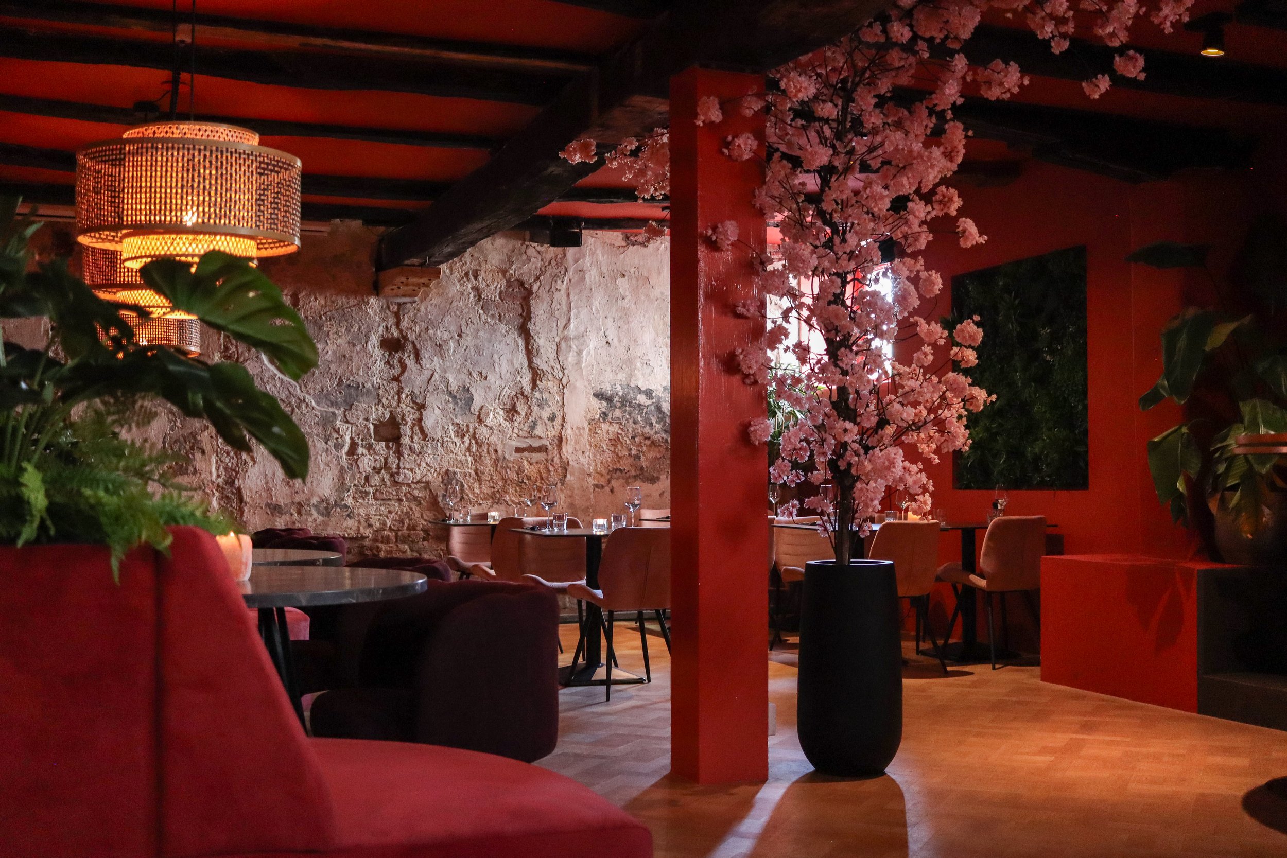 Interior of a restaurant with red walls, a stone accent wall, a large pink cherry blossom tree, and warm lighting.