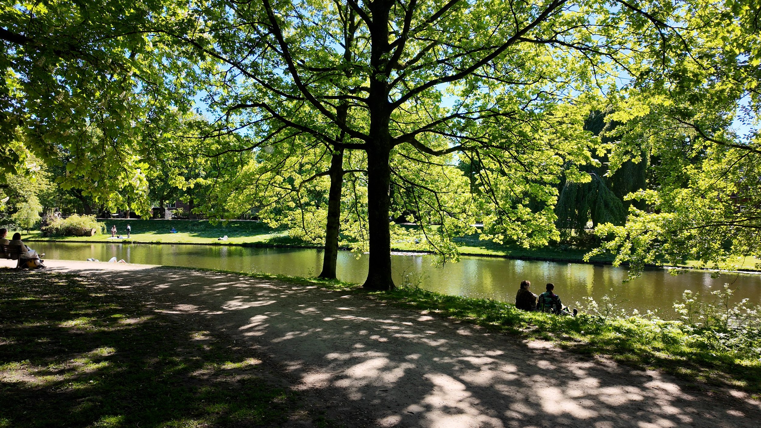 Noorderplantsoen Groningen in de zomer met weelderig groen en vijver op een zonnige dag