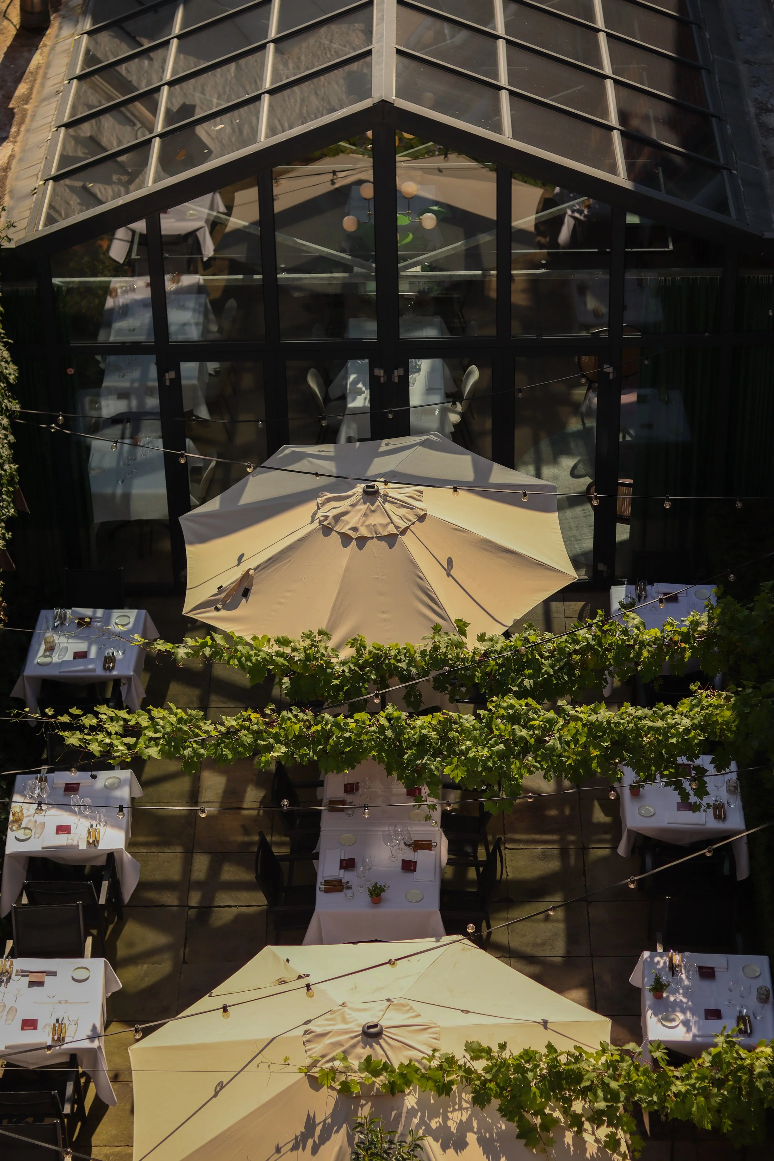 A bird's-eye view of the courtyard garden at 't Tuintje Hotel Halbert in Groningen, with tables set under parasols and lush greenery