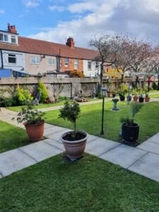 A backyard garden with potted plants along a paved walkway, green grass, a tree, and houses in the background under a partly cloudy sky.