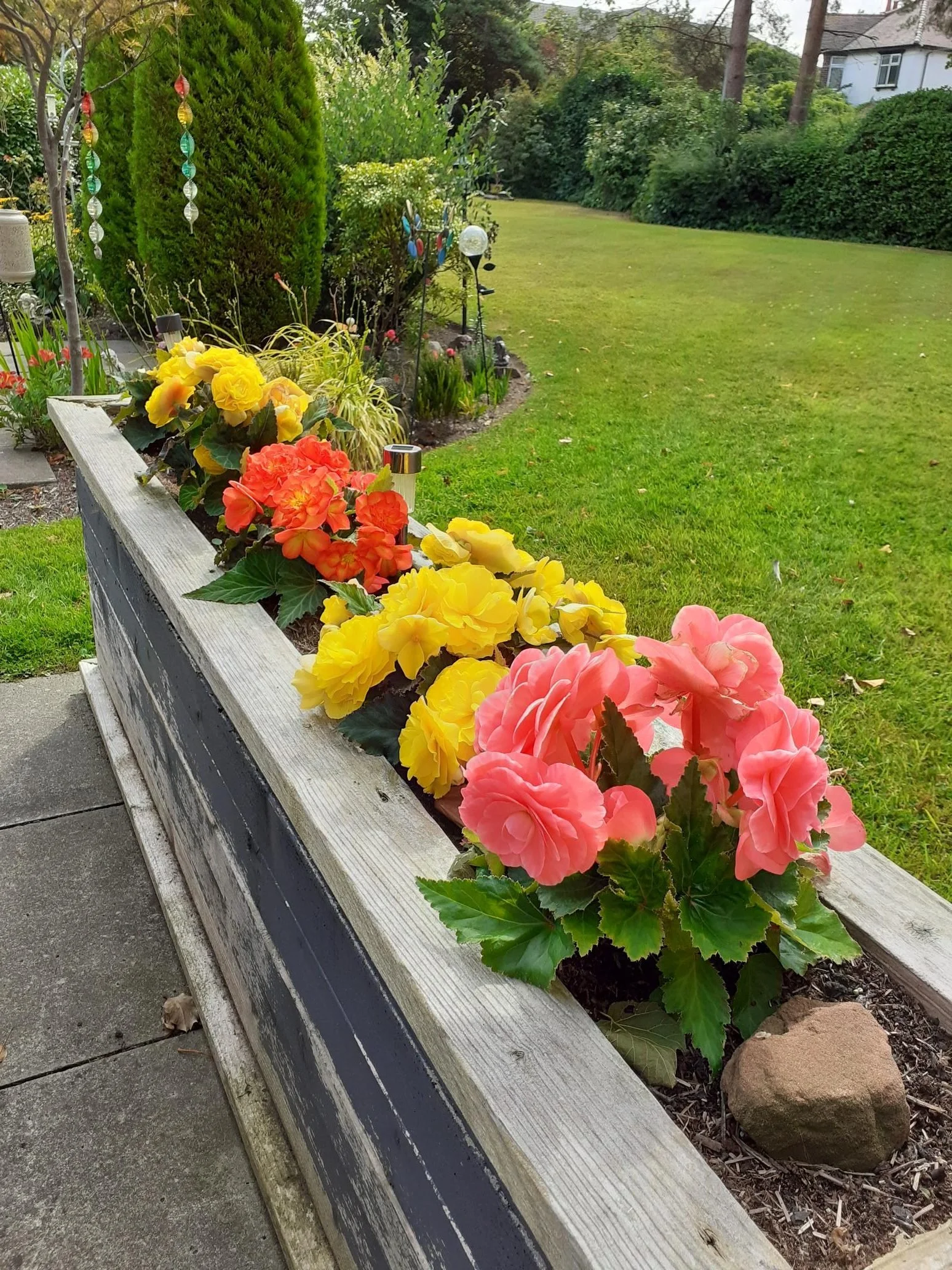 Garden Competition Winners