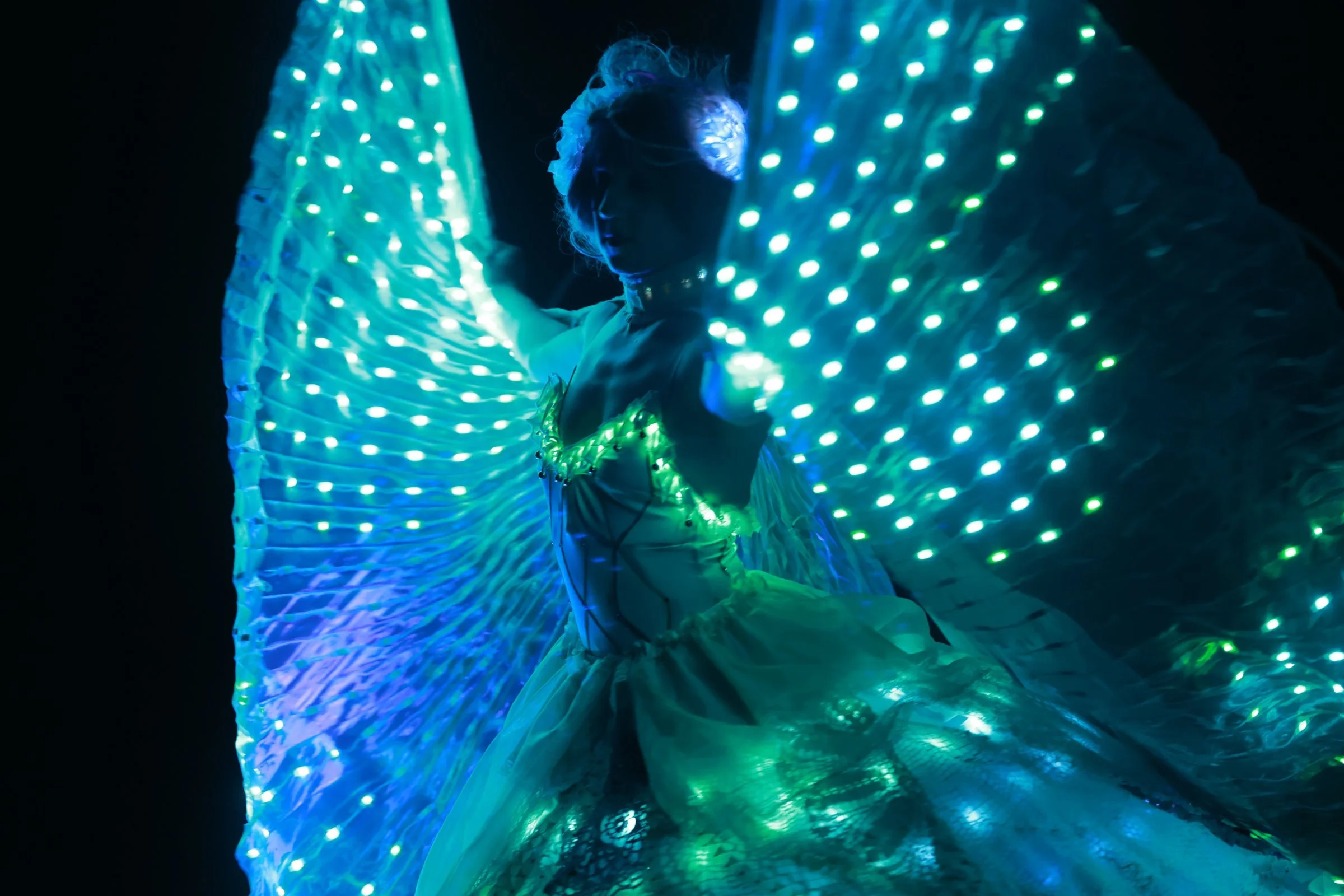 lucinas-light-wings.jpg
