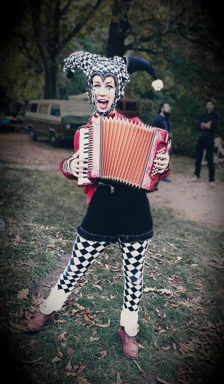 accordion-harlequin.jpg
