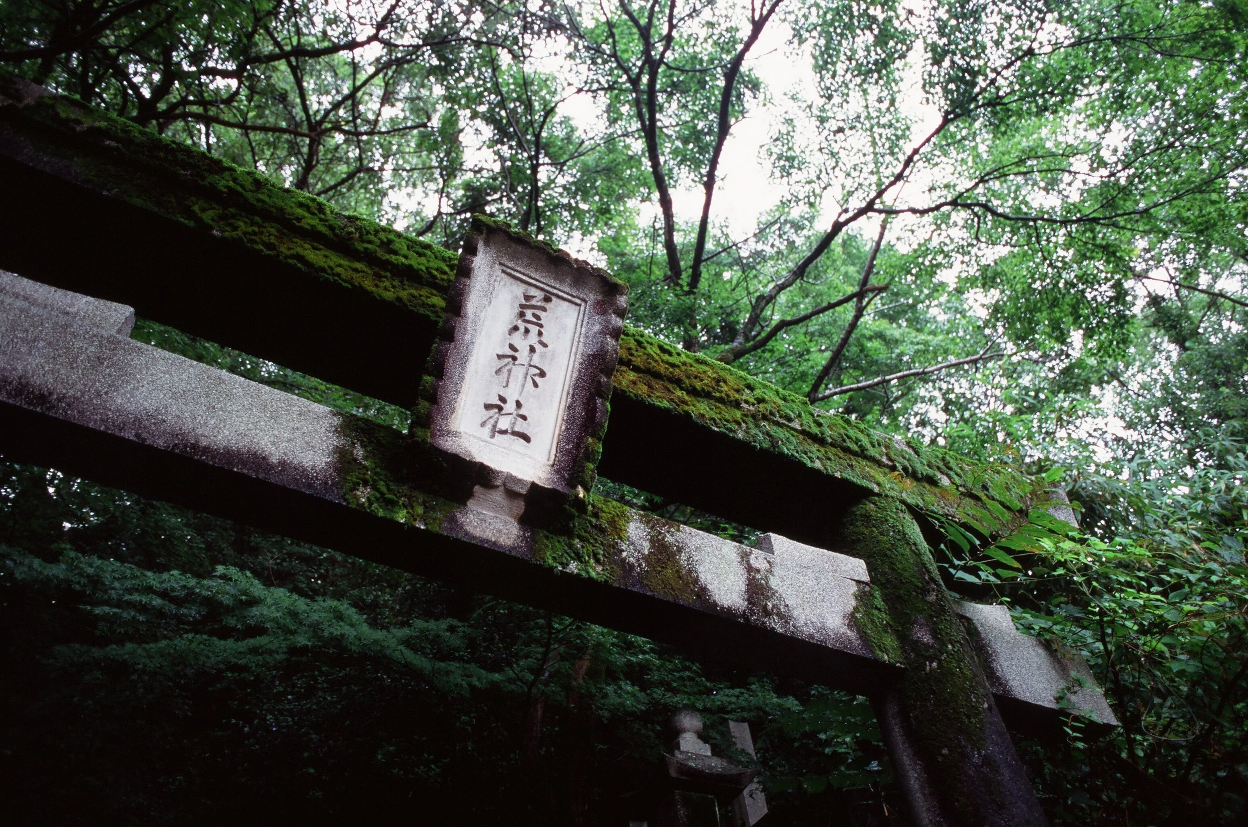 00010029-2.jpg