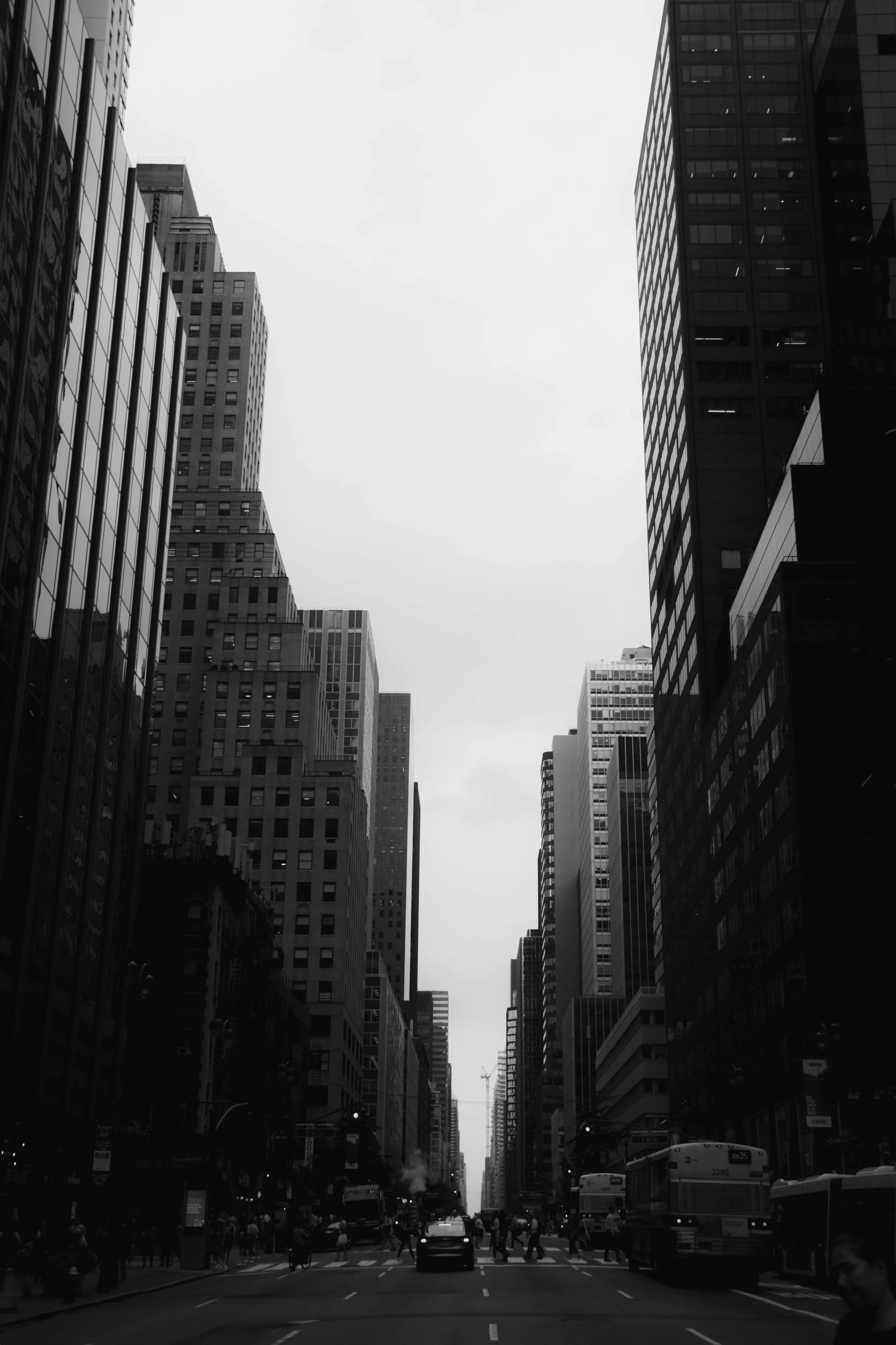 DSC_2562.jpeg