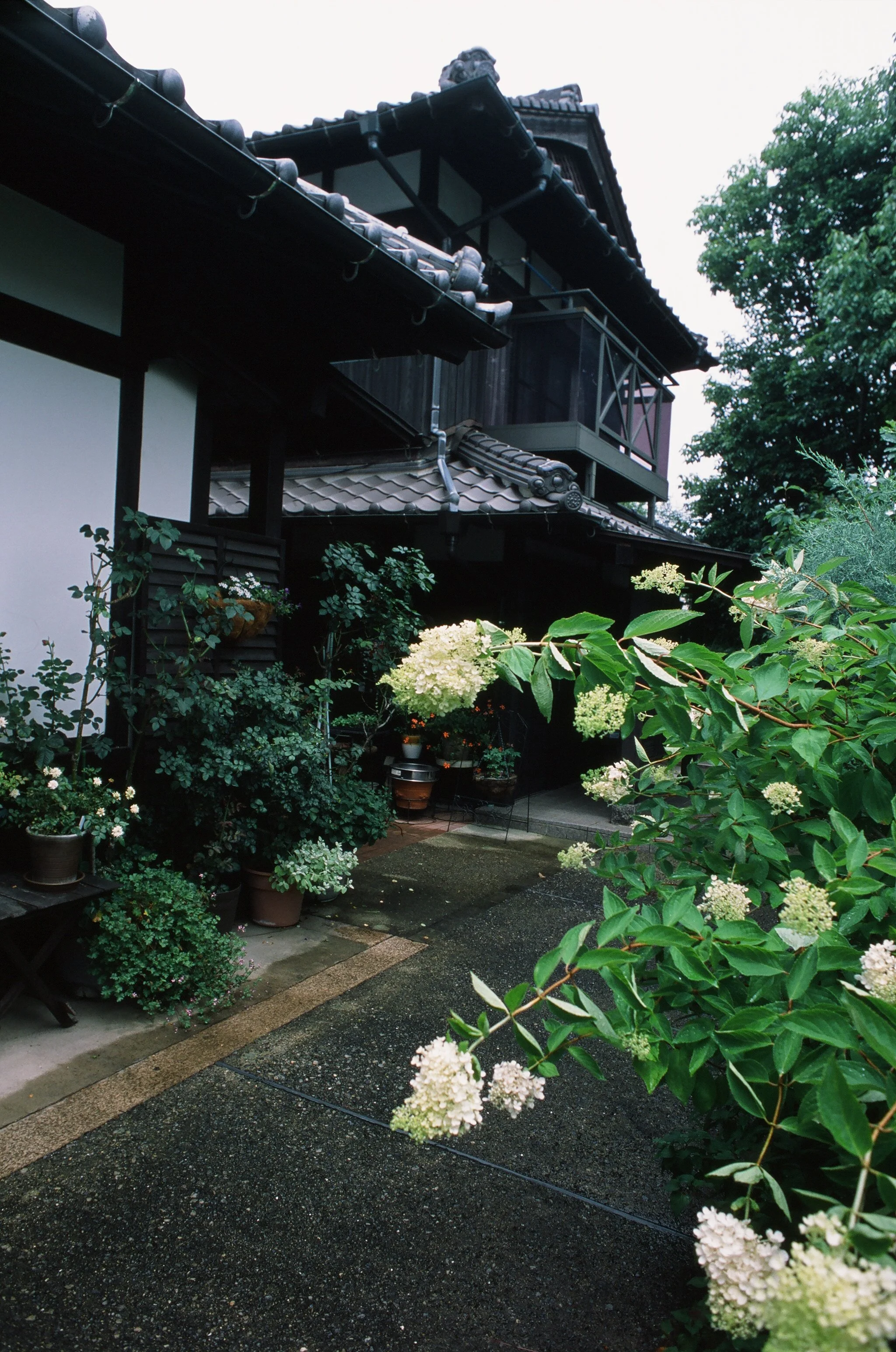 00020005-3.jpg