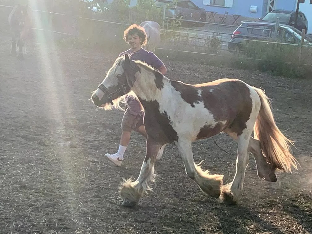 Gebuertsdeeg mat de Päerd