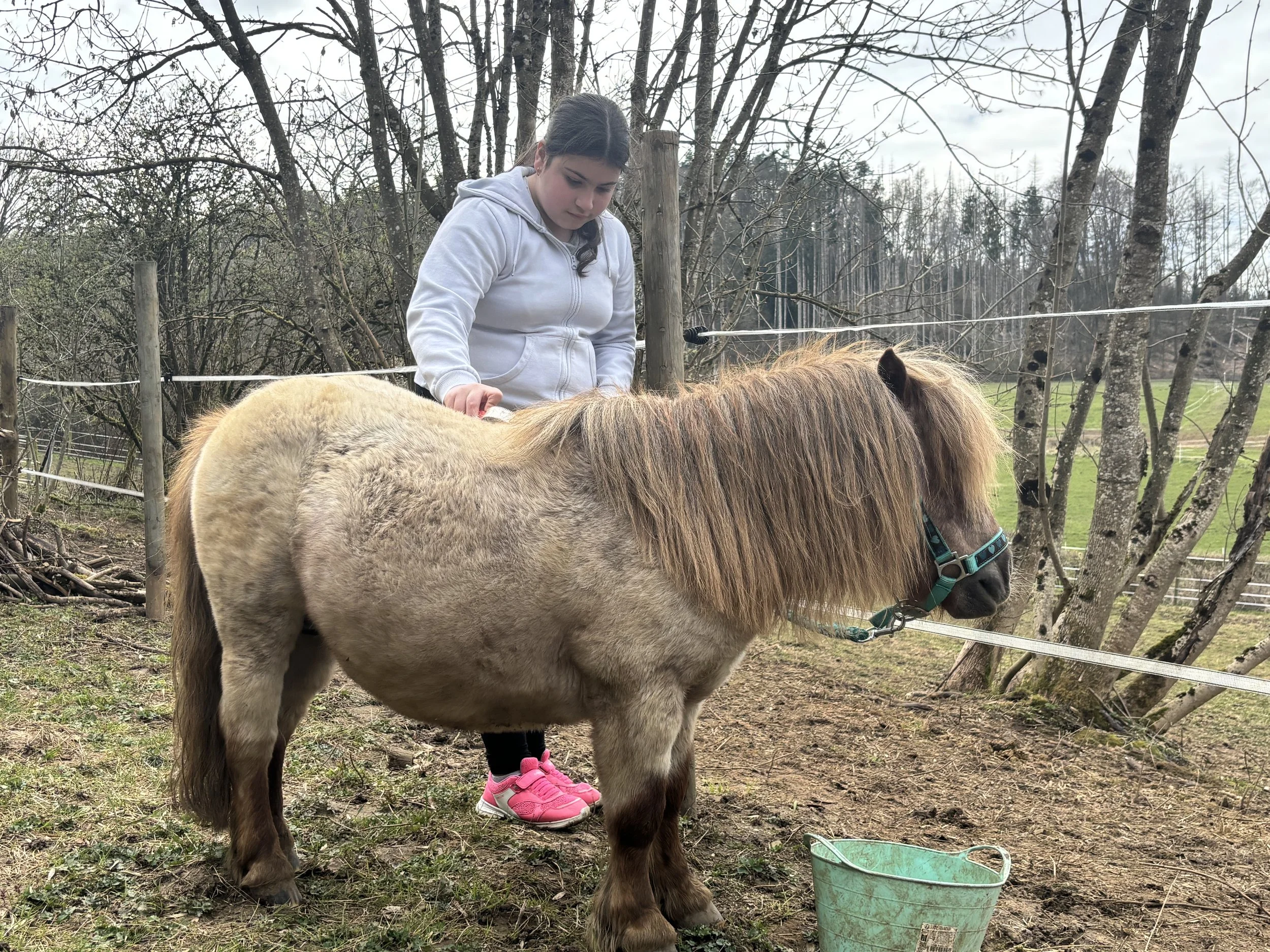 Ausserschoulech Aktivitéiten