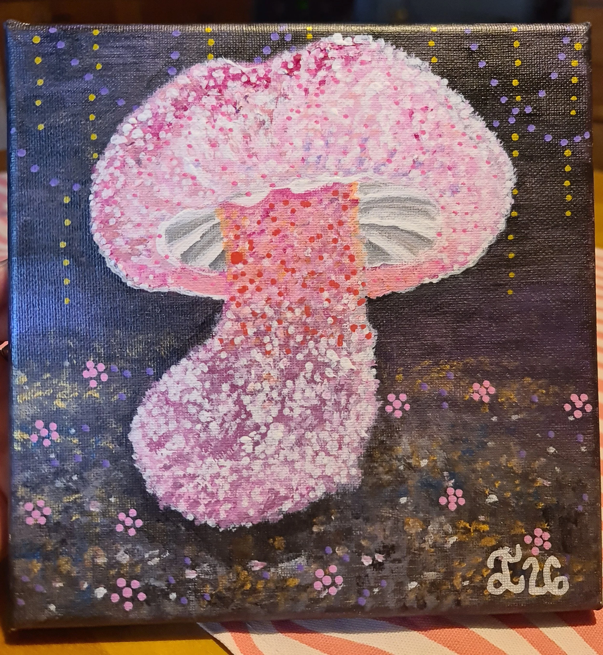  MYCENA ROSEOFLAVA 
