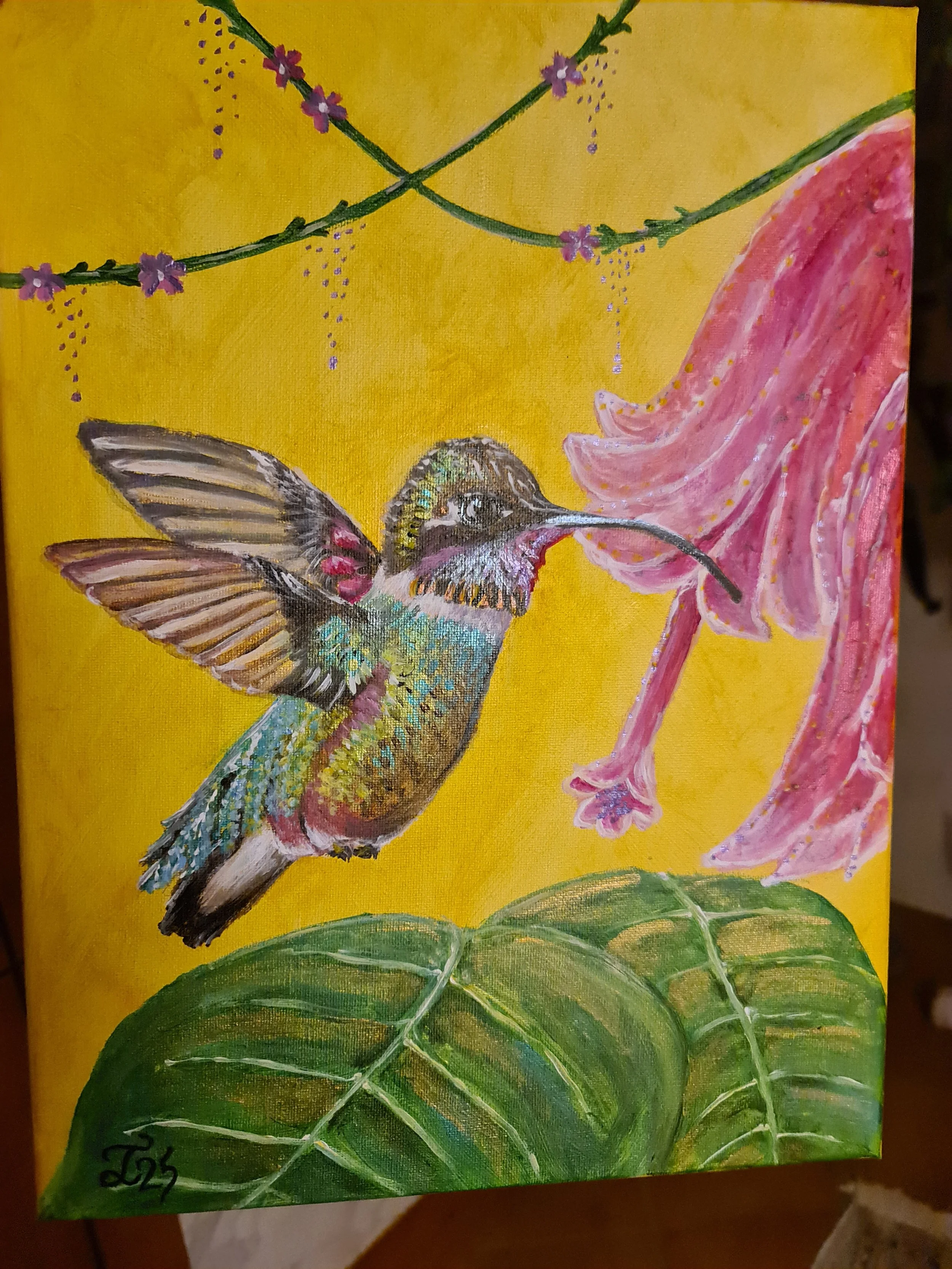  KOLIBRI 
