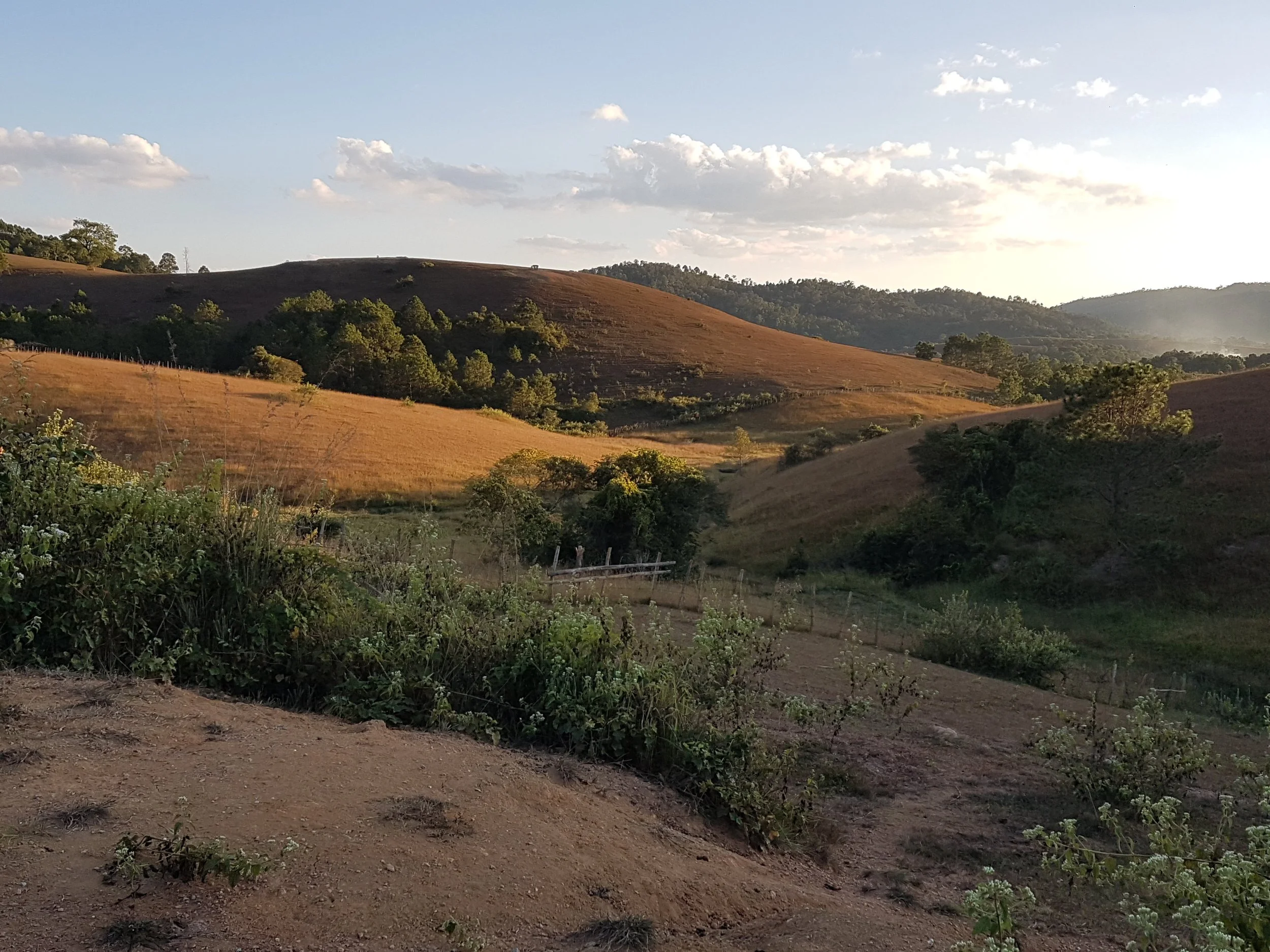Paysage vallonné avec des collines herbeuses, quelques arbres dispersés et un ciel partiellement nuageux, en fin d'après-midi ou début de soirée.