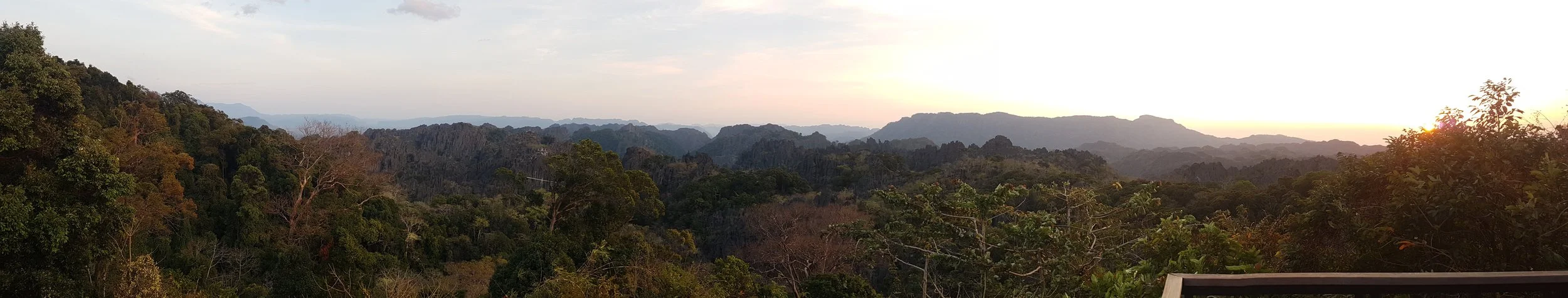 Paysage de montagnes et forêt dense au coucher du soleil.