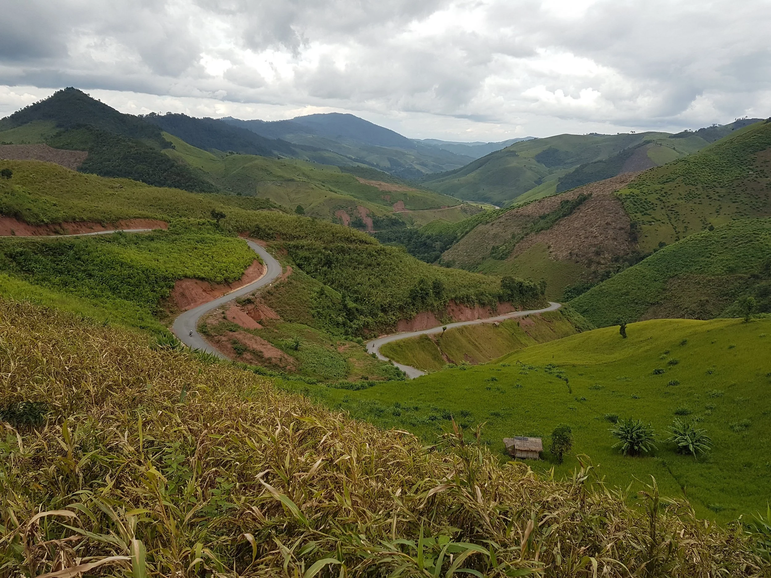 Paysage de collines verdoyantes avec une route serpentant à travers la vallée, sous un ciel nuageux.