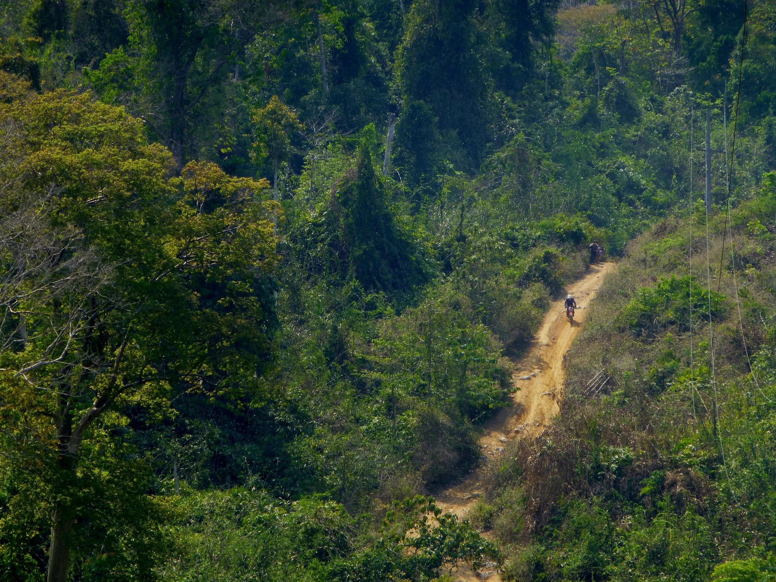 Une route en terre serpentant à travers une forêt dense avec des arbres verts et deux motocyclettes en circulation