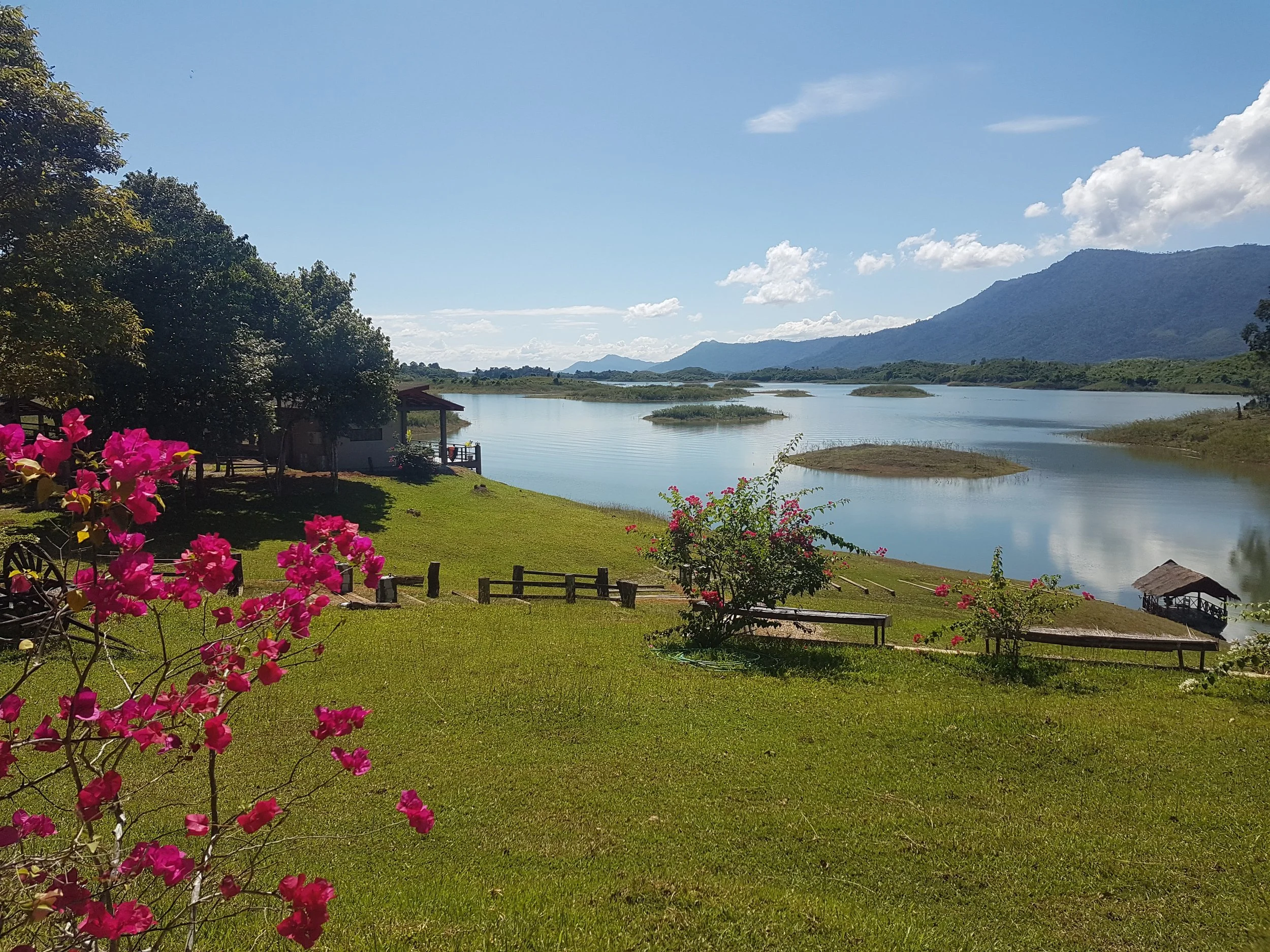 Un paysage de montagne, un lac, des arbres verts, des fleurs roses et un ciel bleu avec quelques nuages.