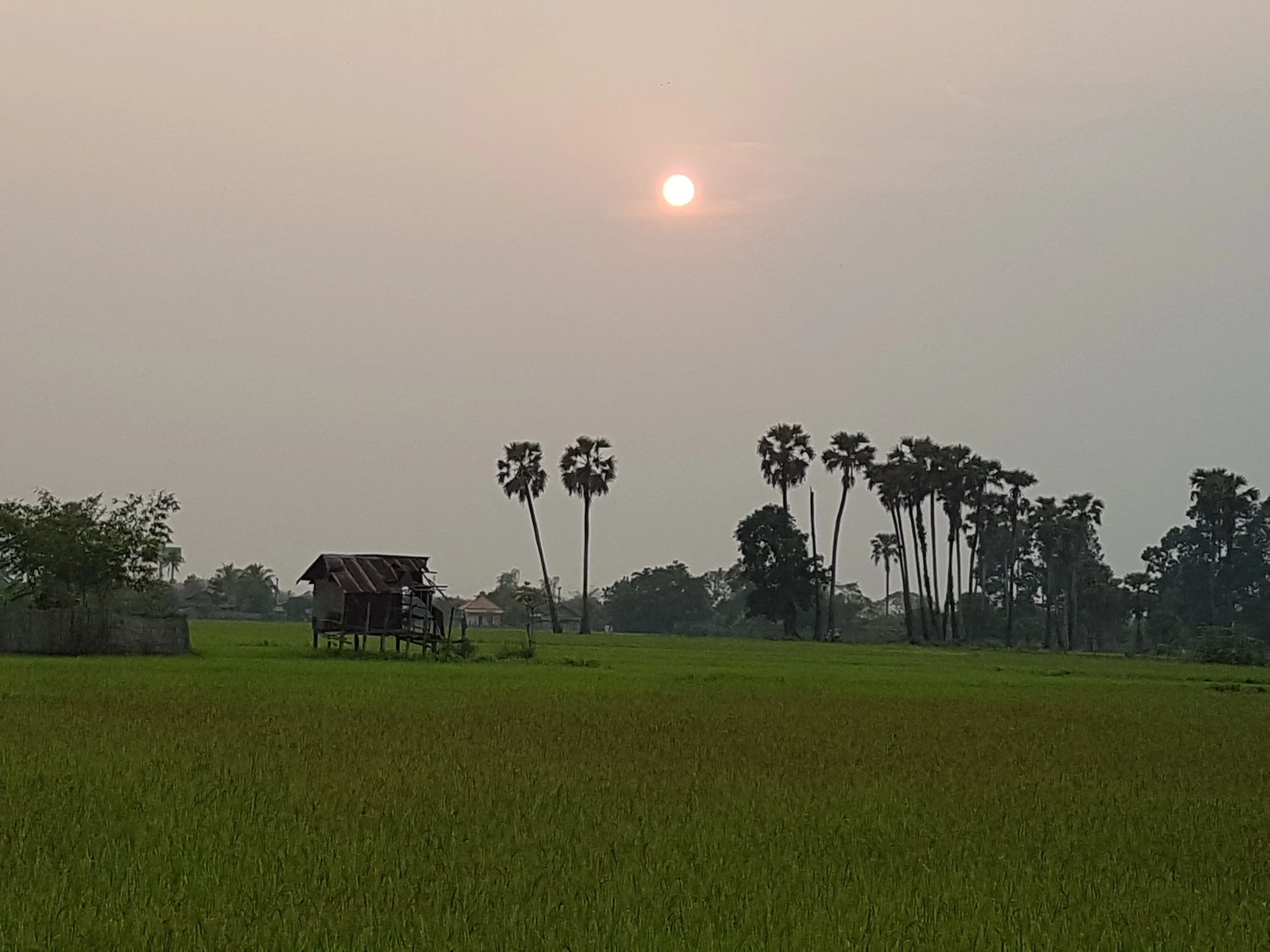 Un paysage rural avec des arbres et une maison en bois sous un ciel couvert de nuages, avec le soleil à l'horizon.