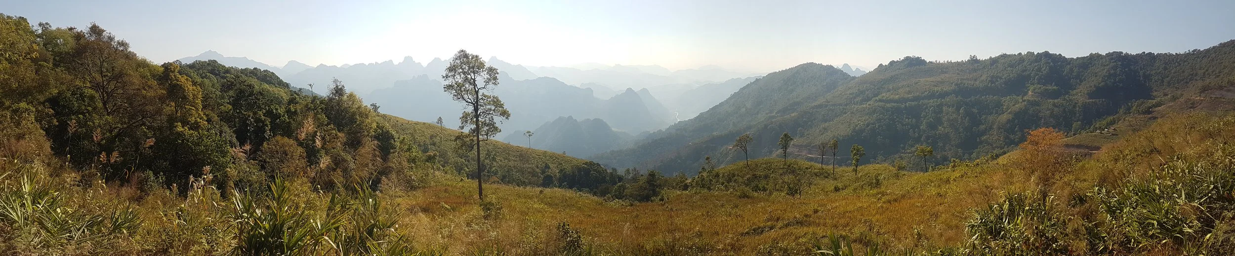 Paysage montagneux avec des collines verdoyantes et quelques arbres dispersés, sous un ciel clair.