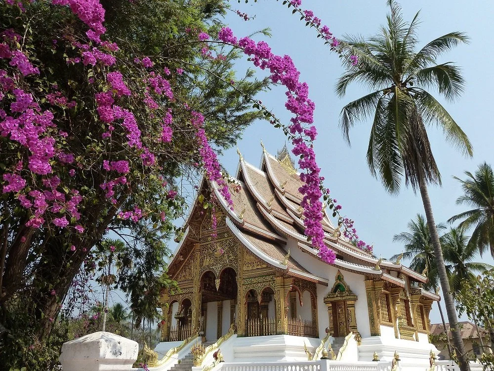 Un temple thaïlandais orné de détails dorés, entouré de palmiers et de fleurs violettes, dans un paysage tropical.