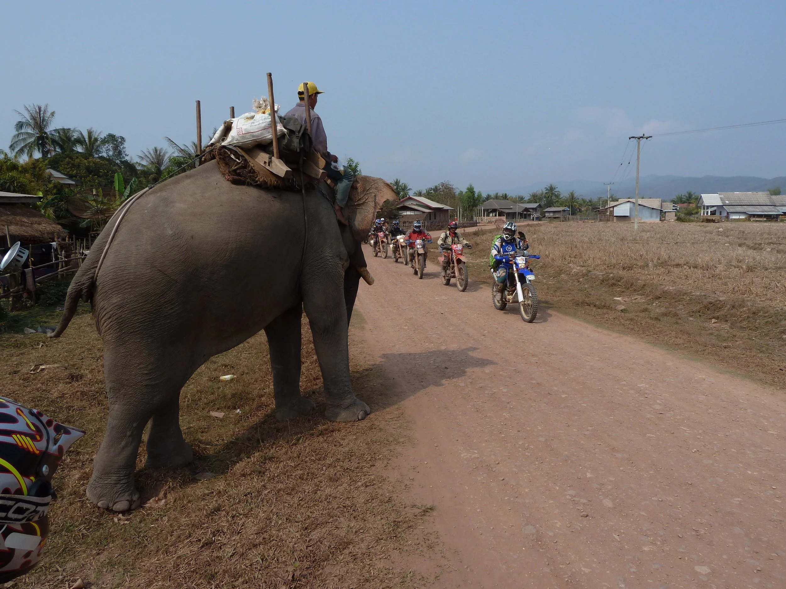 Un éléphant avec un homme sur son dos, marchant sur un chemin de terre dans un village, avec plusieurs motards en arrière-plan et des maisons en bois ou en matériaux légers, des palmiers et un ciel clair.