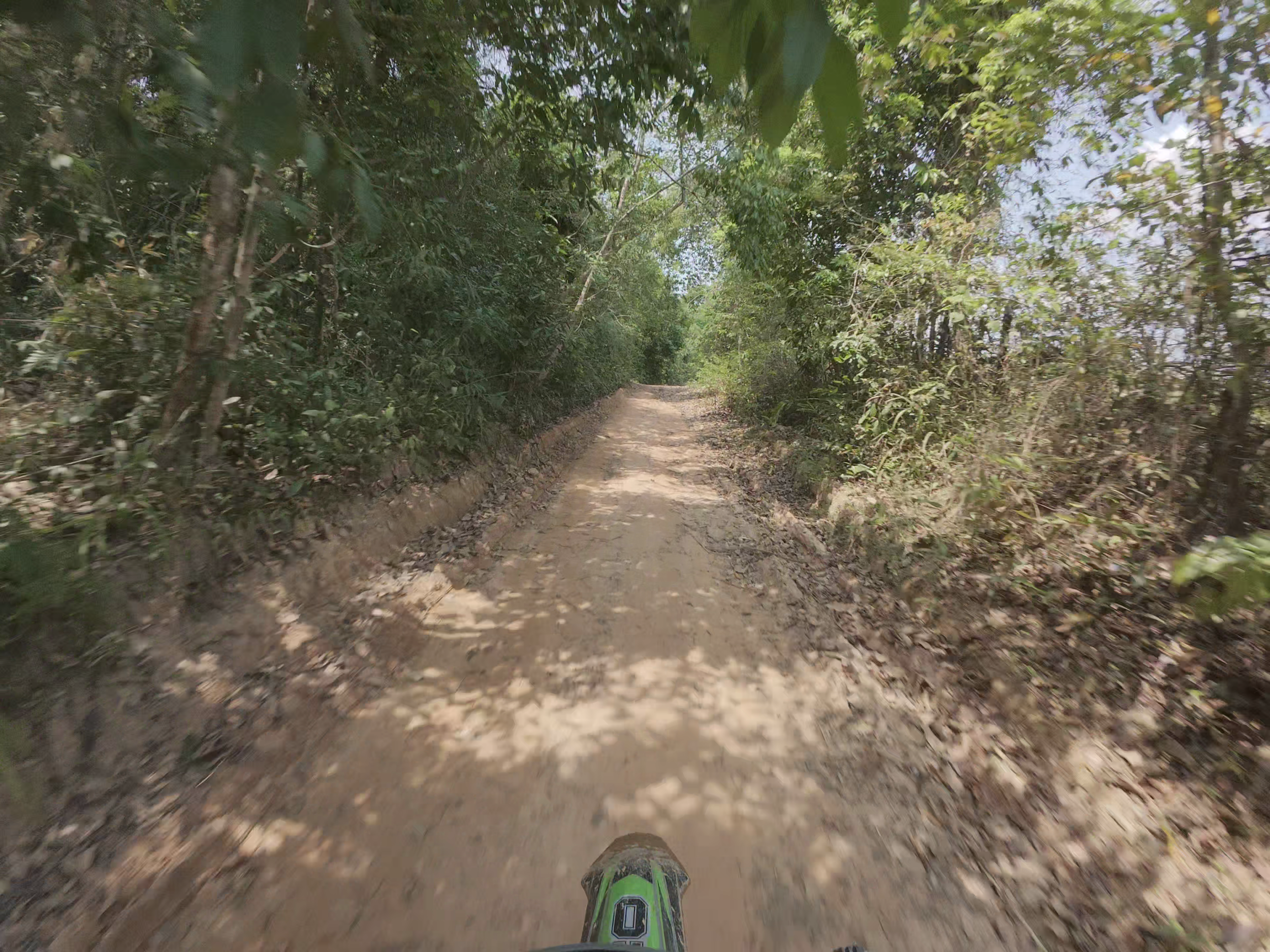 Vue en plongée d'un sentier dans une forêt dense avec des arbres feuillus, un sol en terre et quelques feuilles au sol. La chaussure d'une personne est visible en bas de l'image.