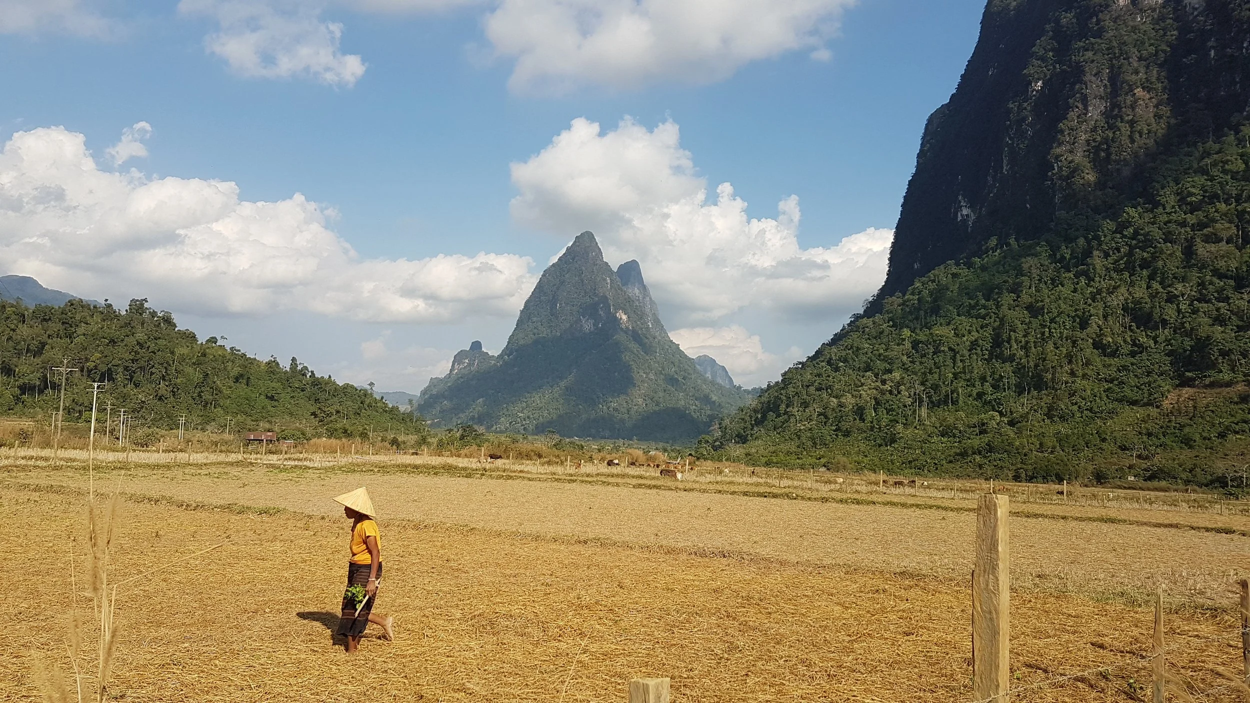 Paysage rural avec des montagnes vertes et un ciel partiellement nuageux. Un champ de terre utilisant une femme portant un chapeau conique qui marche à travers le champ, avec des lignes électriques visibles au premier plan.